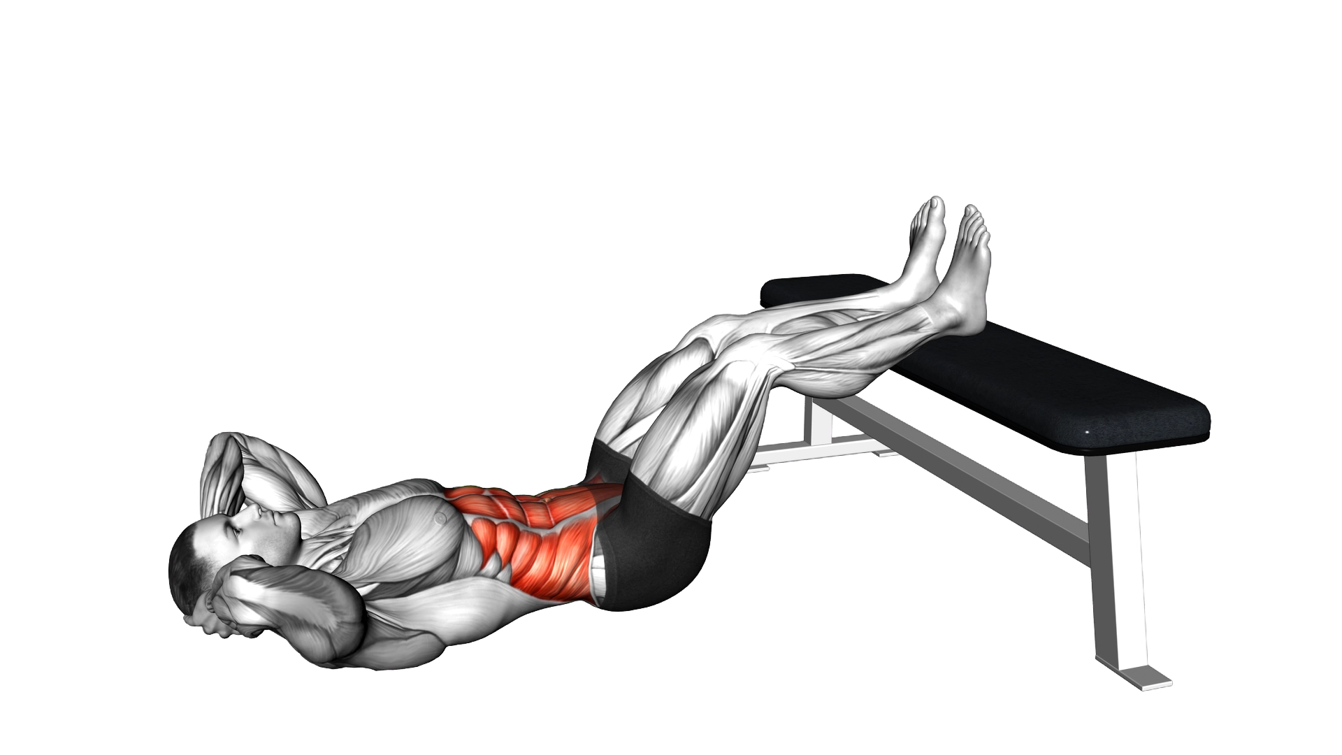 Overhead Sit up with Legs on Bench exercise demonstration