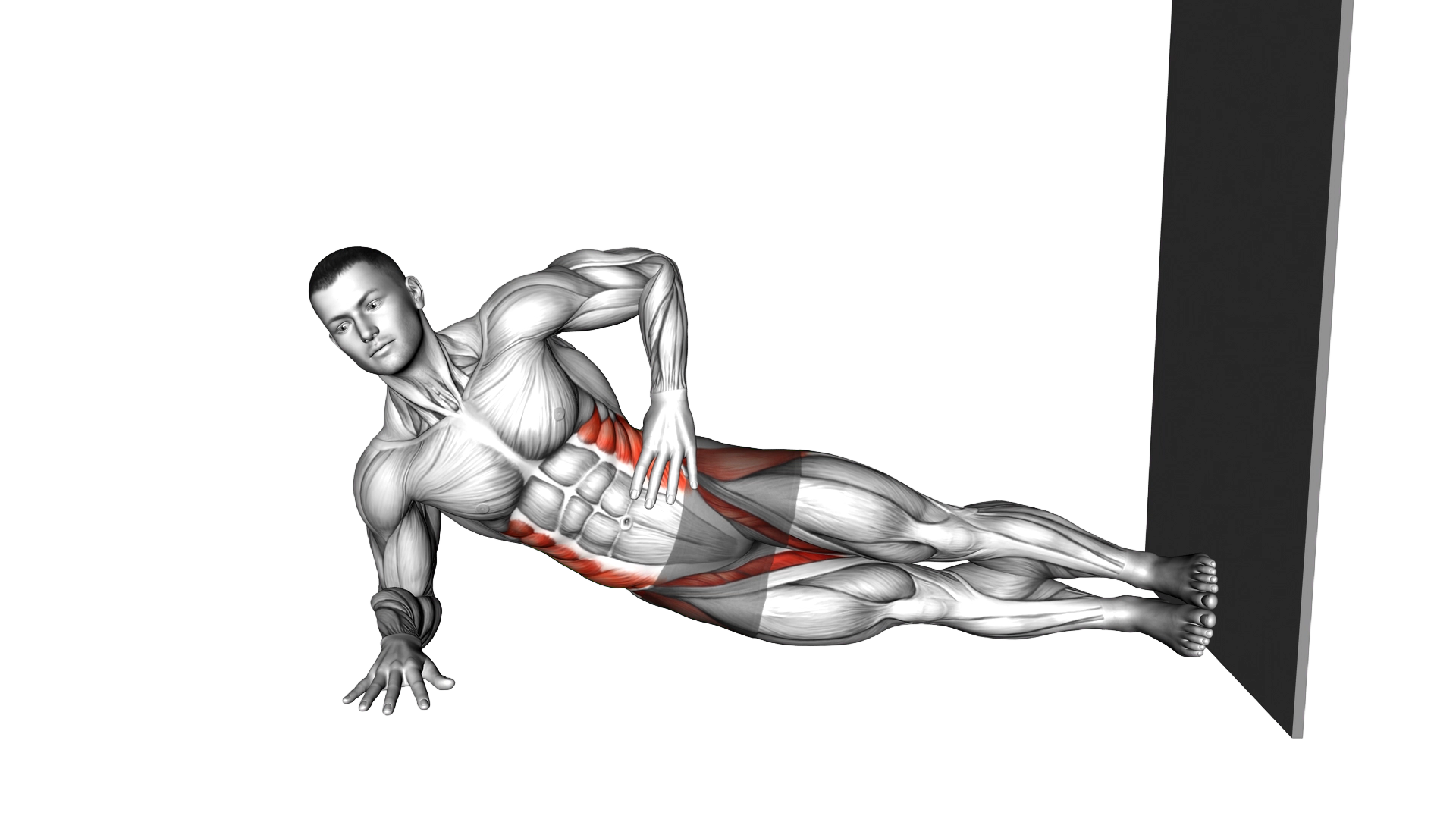 Side Plank Lift against Wall exercise demonstration