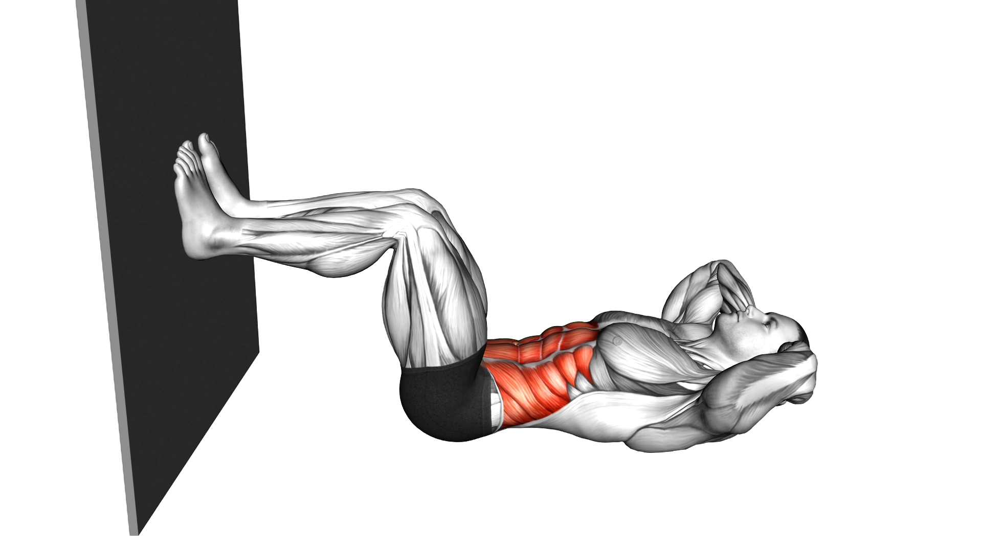 Crunch Bent Knee against Wall exercise demonstration