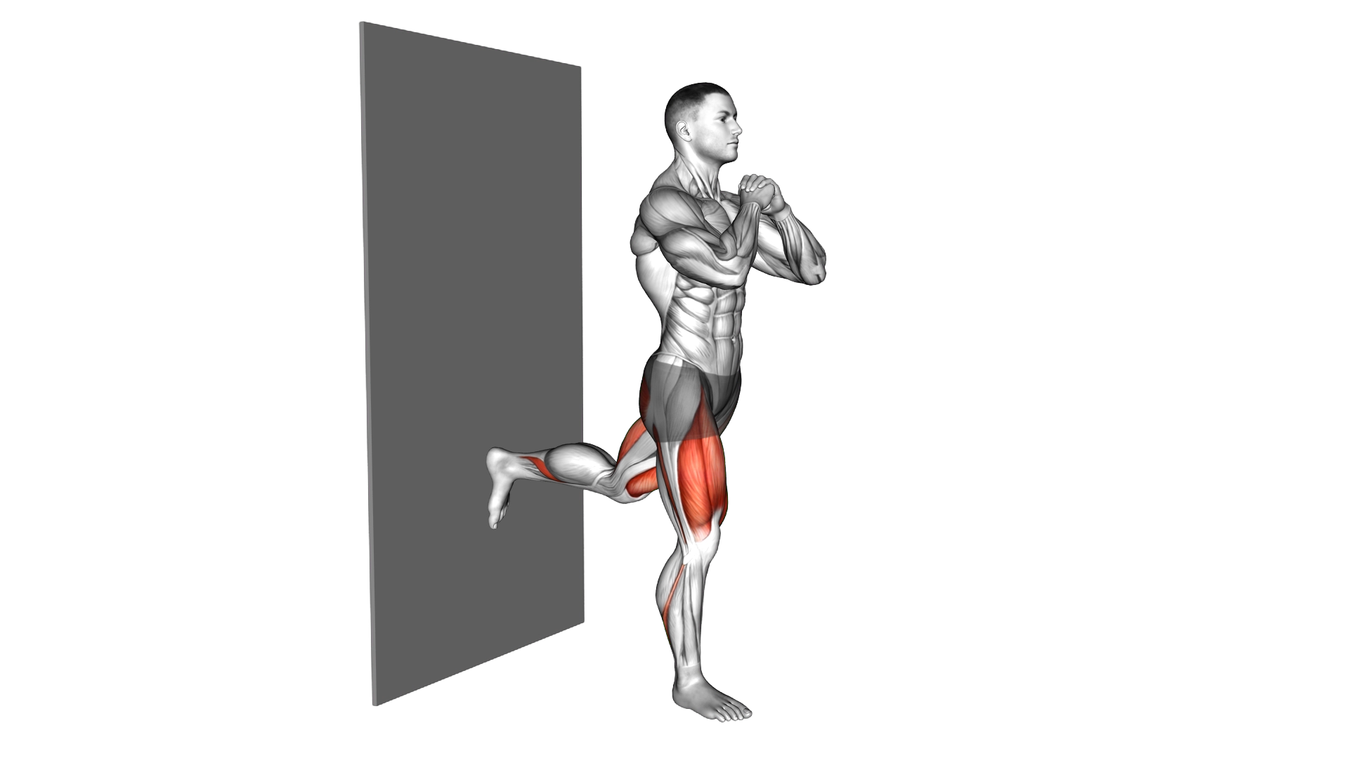 Split Squat against Wall exercise demonstration