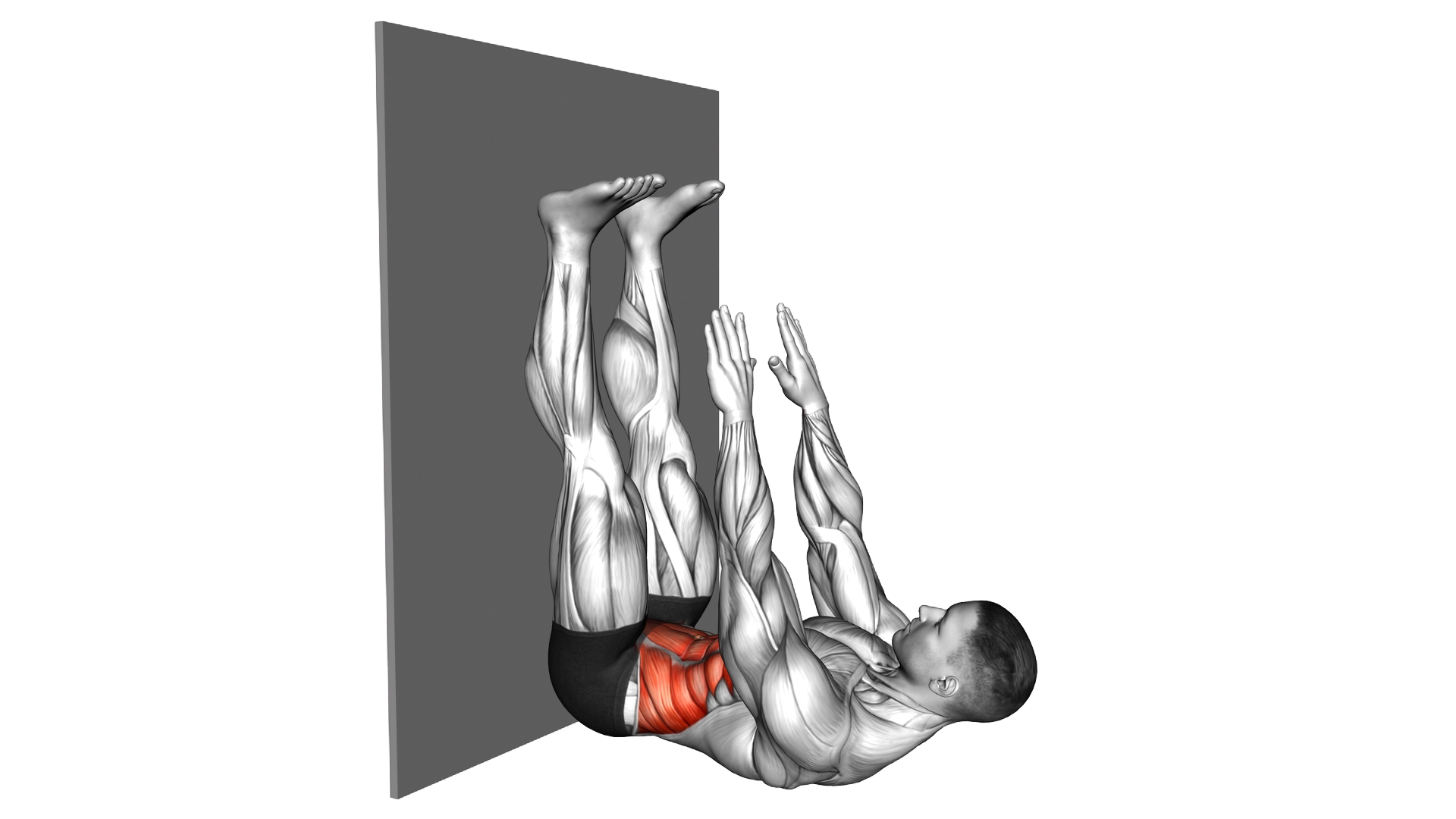 Lying Twist Toe Touch against Wall exercise demonstration