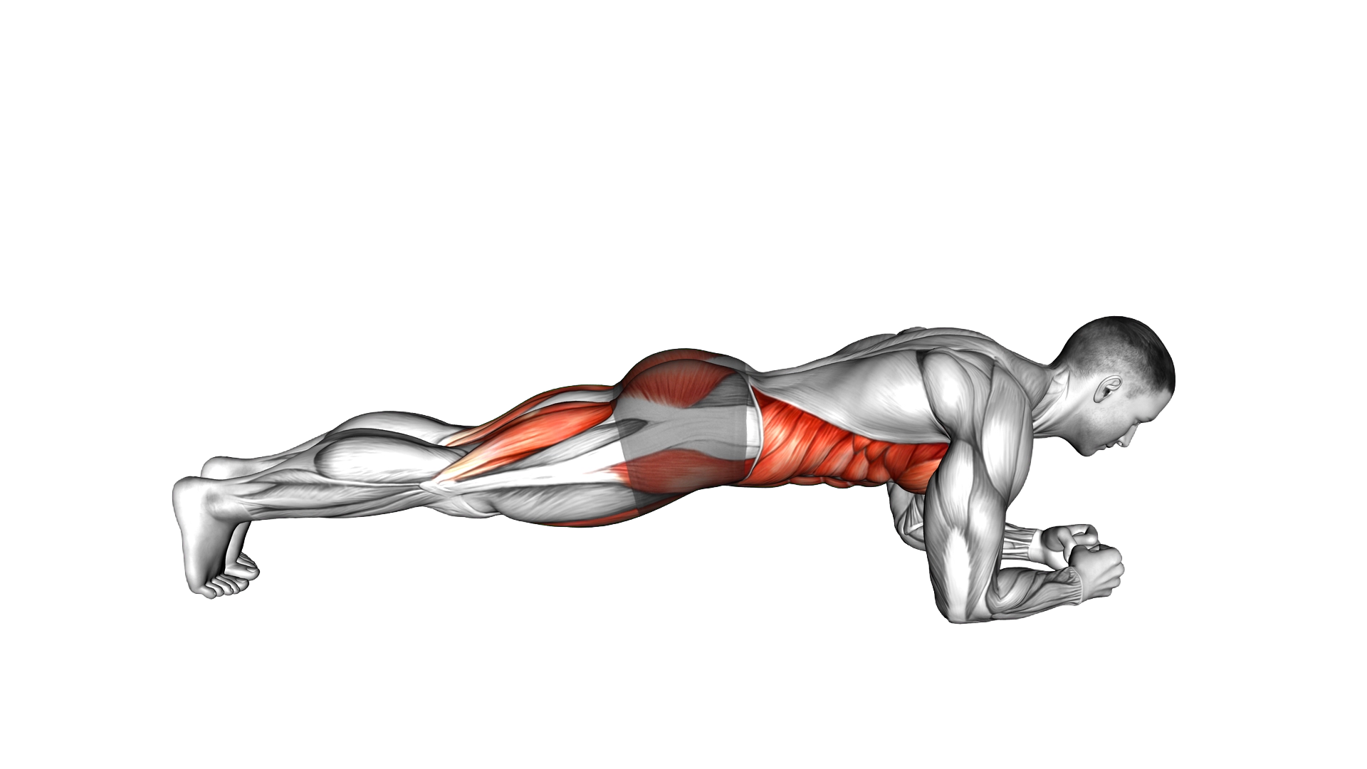Low Plank Leg Raise exercise demonstration