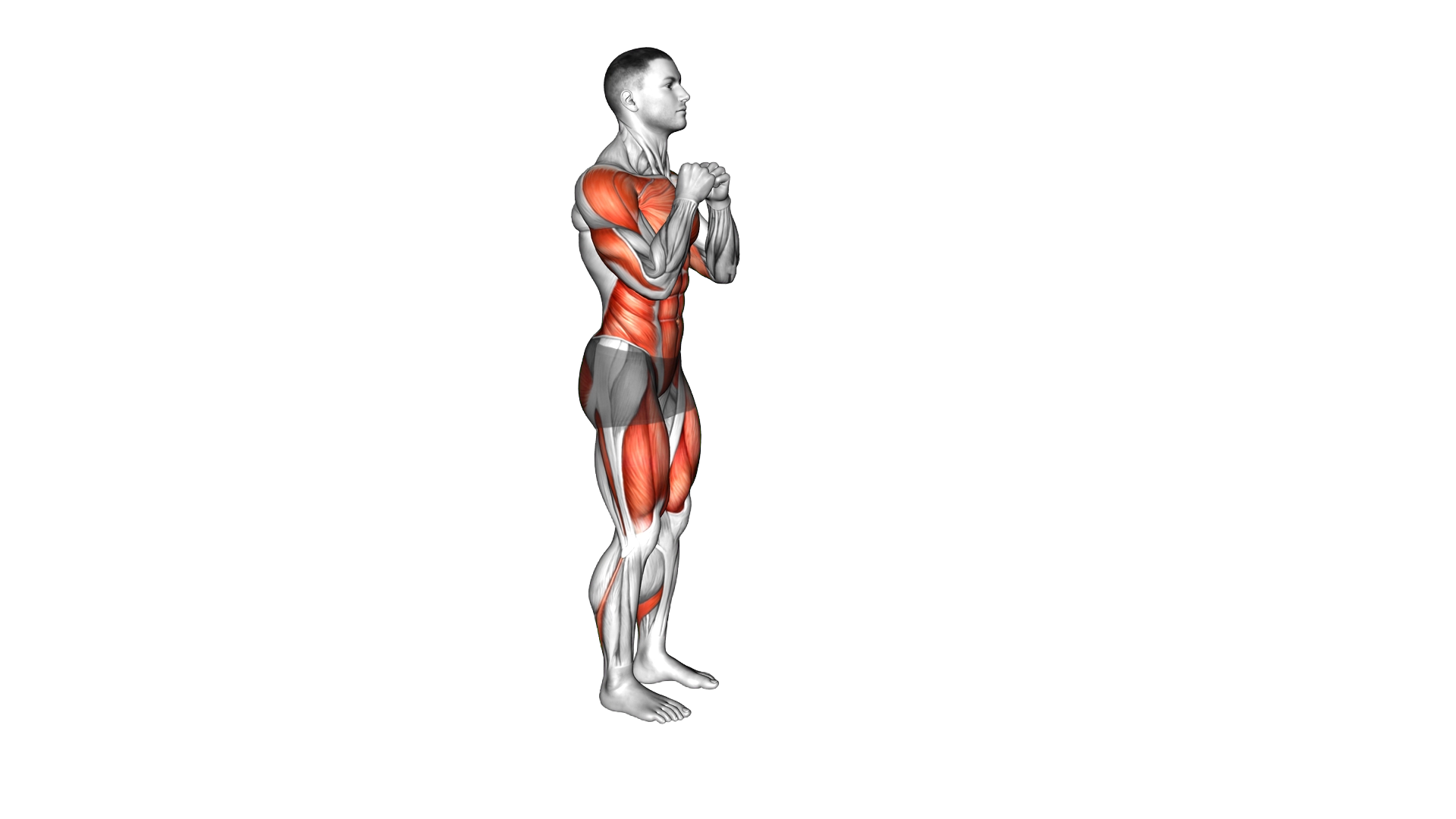 Forward Lunge Punch exercise demonstration