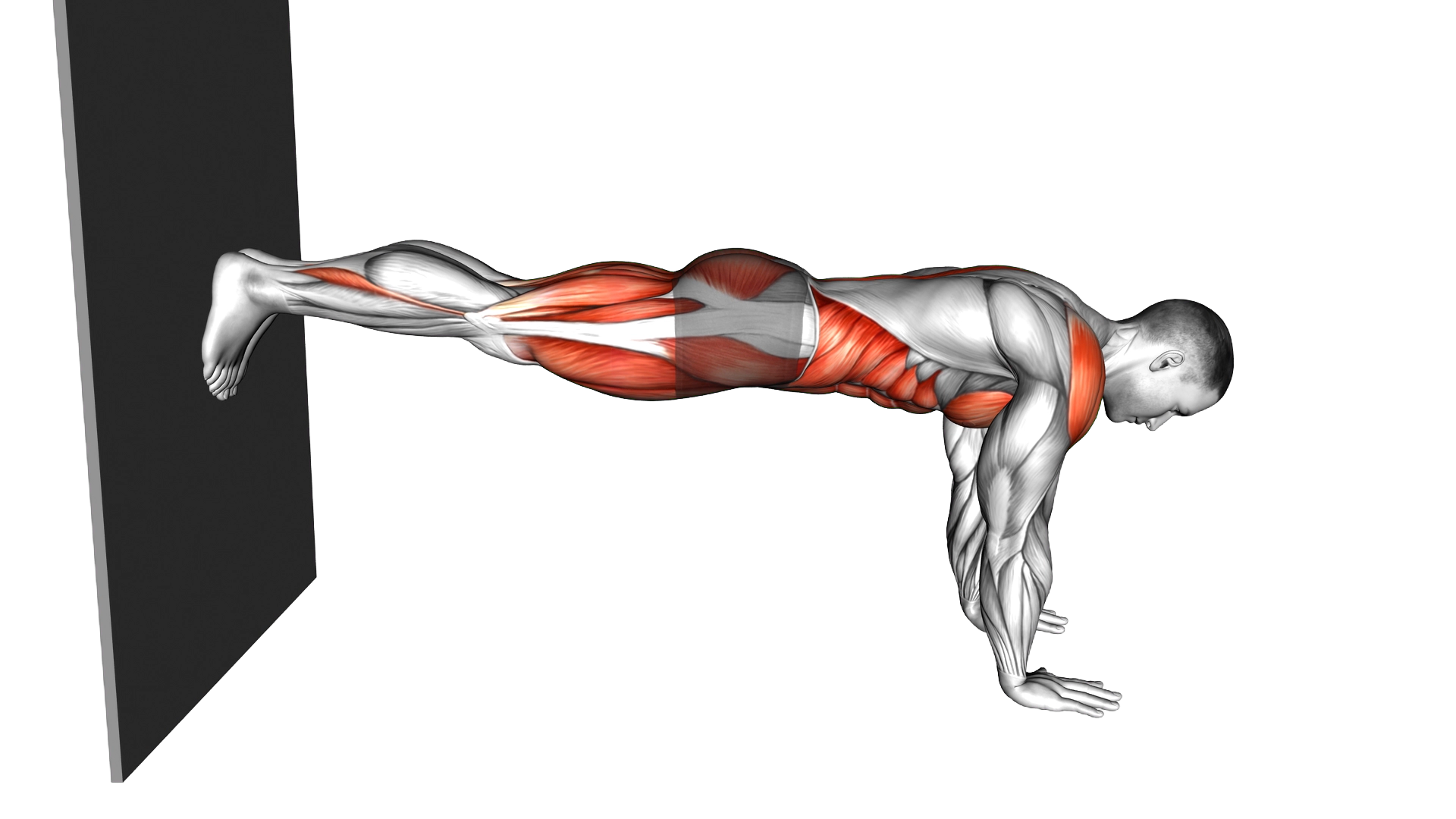 Mountain Climber against Wall exercise demonstration