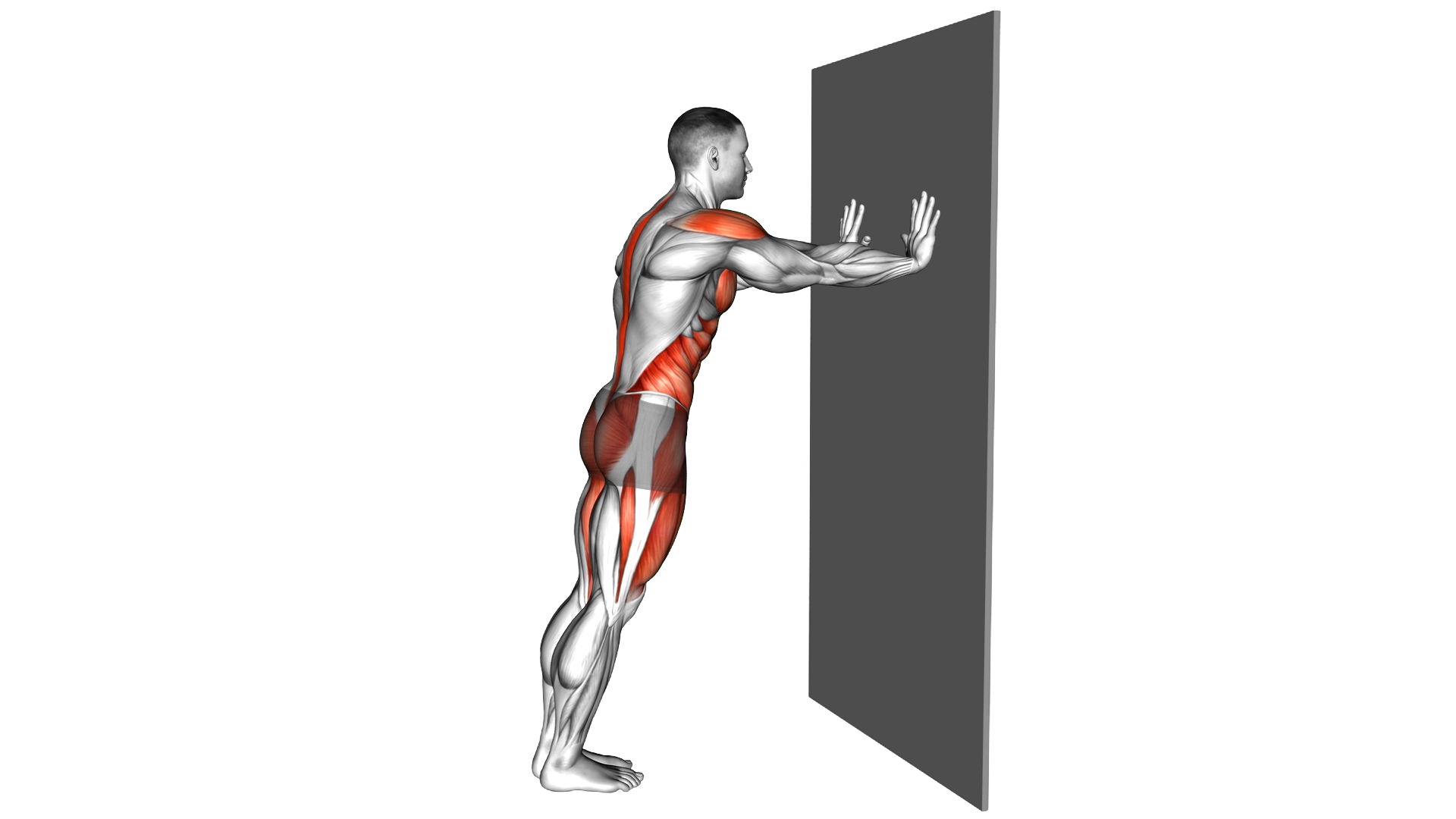 Cross Mountain Climber against Wall exercise demonstration