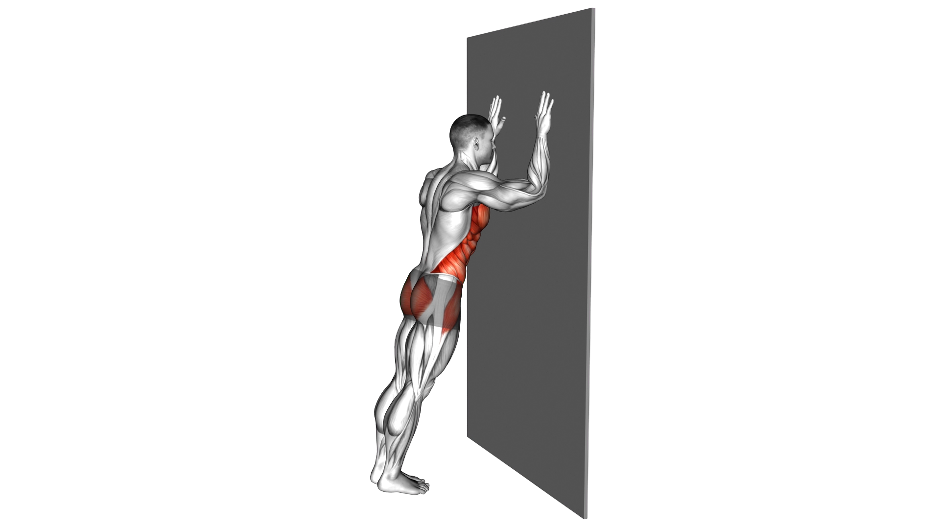 Long Plank against Wall exercise demonstration