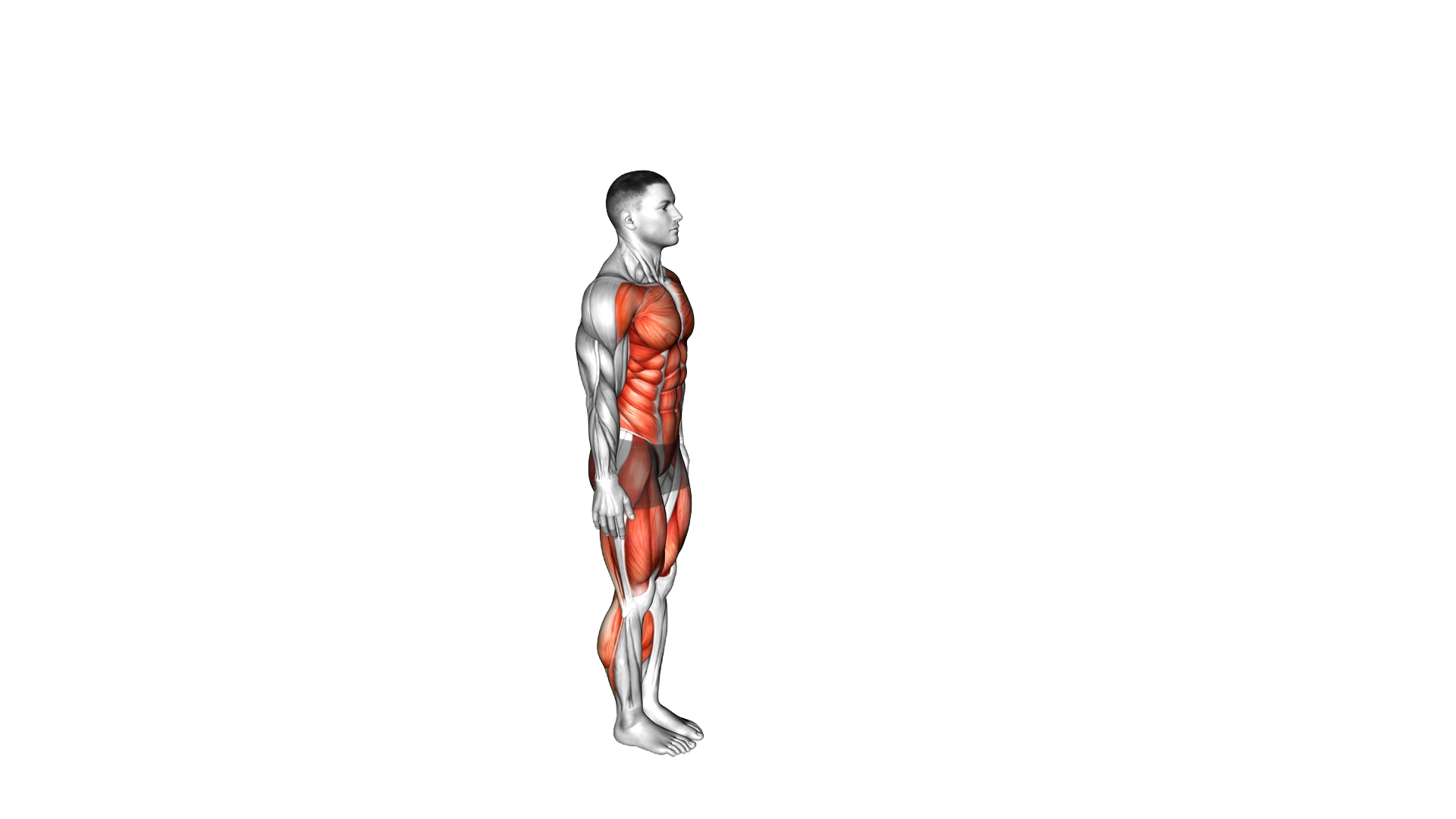Mountain Climber Burpee exercise demonstration