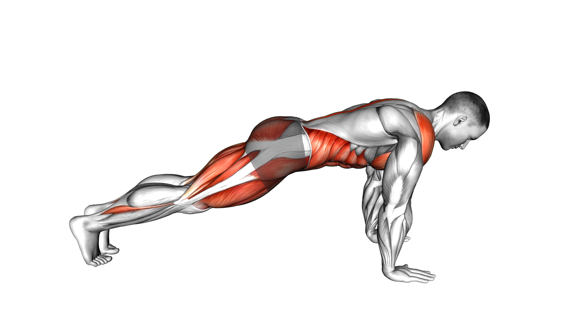 Mountain Climber Low Lunge exercise demonstration
