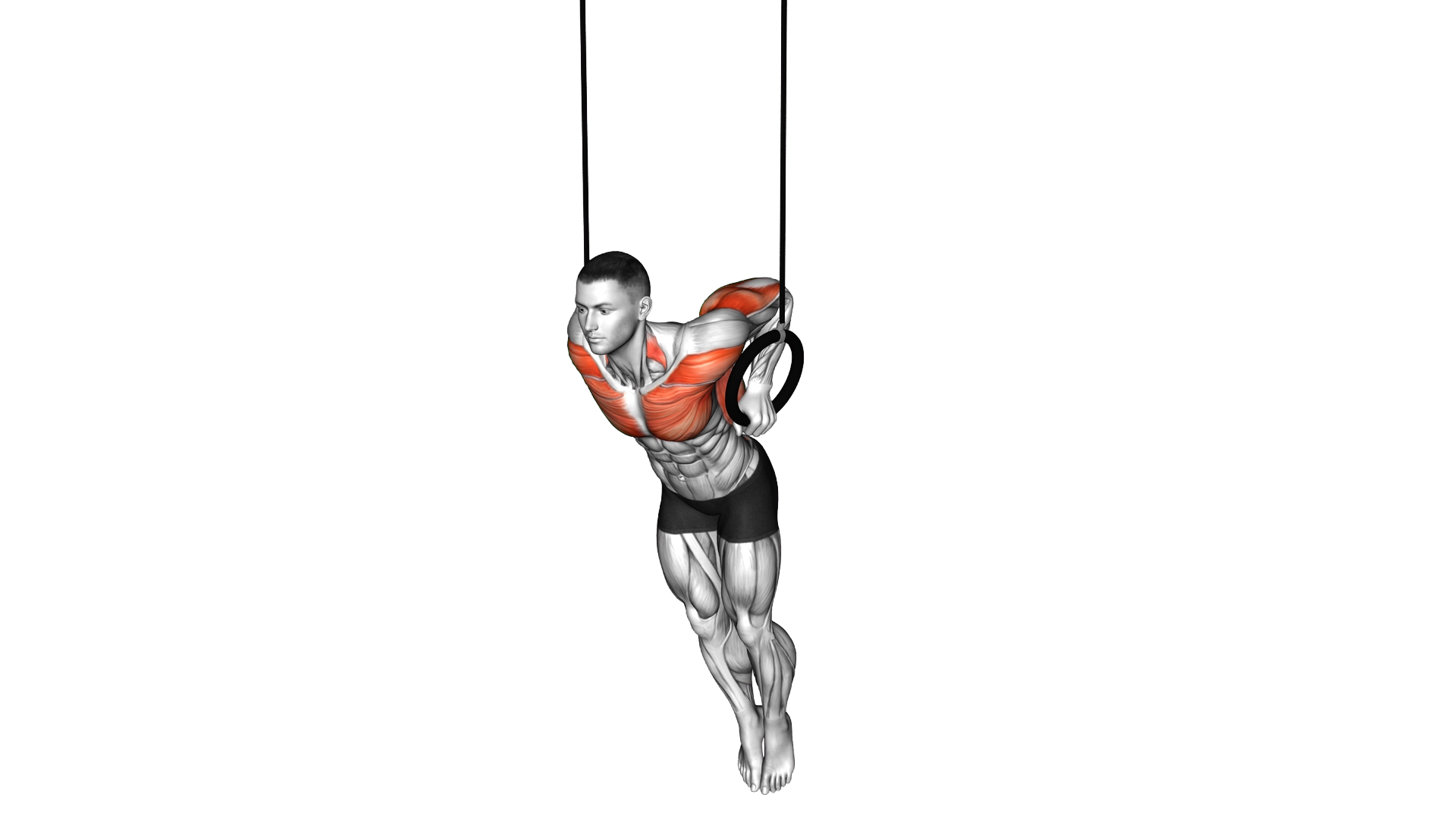 Ring Support Hold exercise demonstration