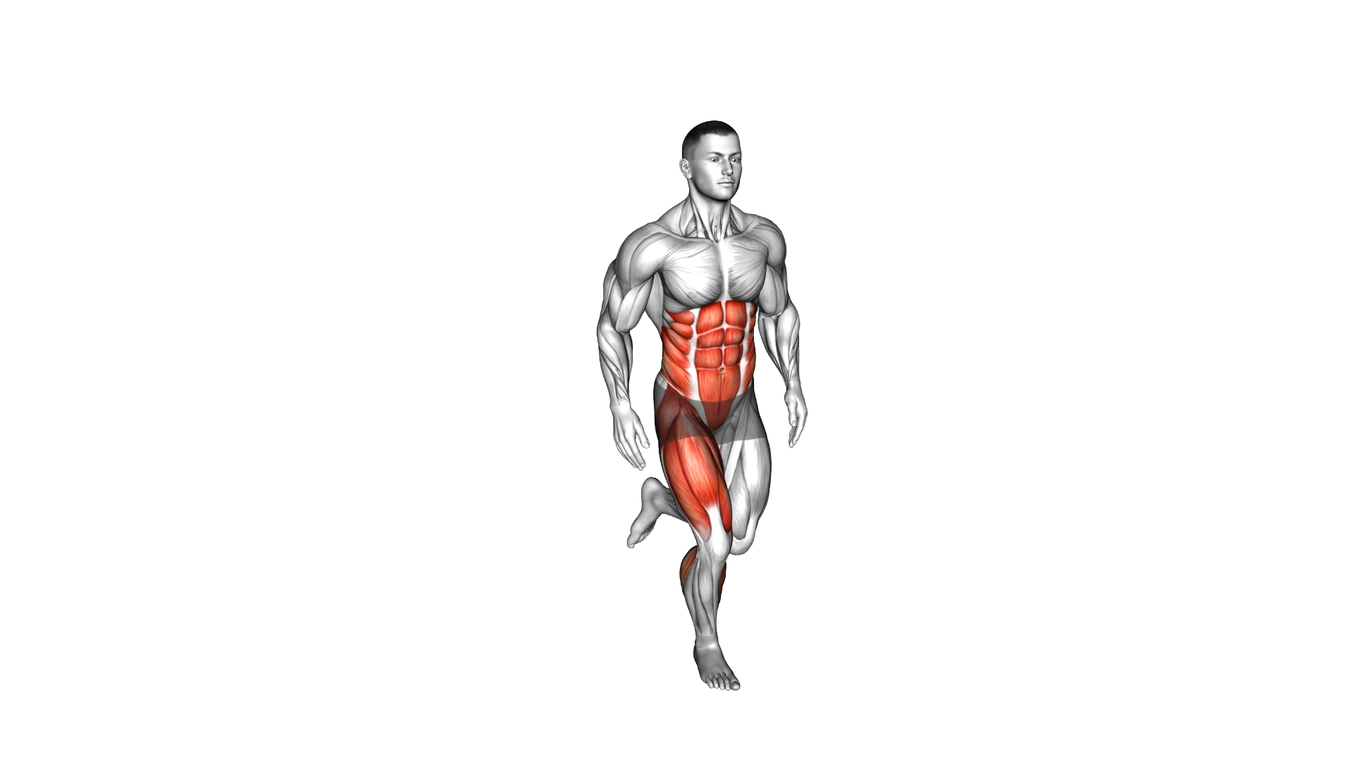 Single Leg Lateral Hop exercise demonstration
