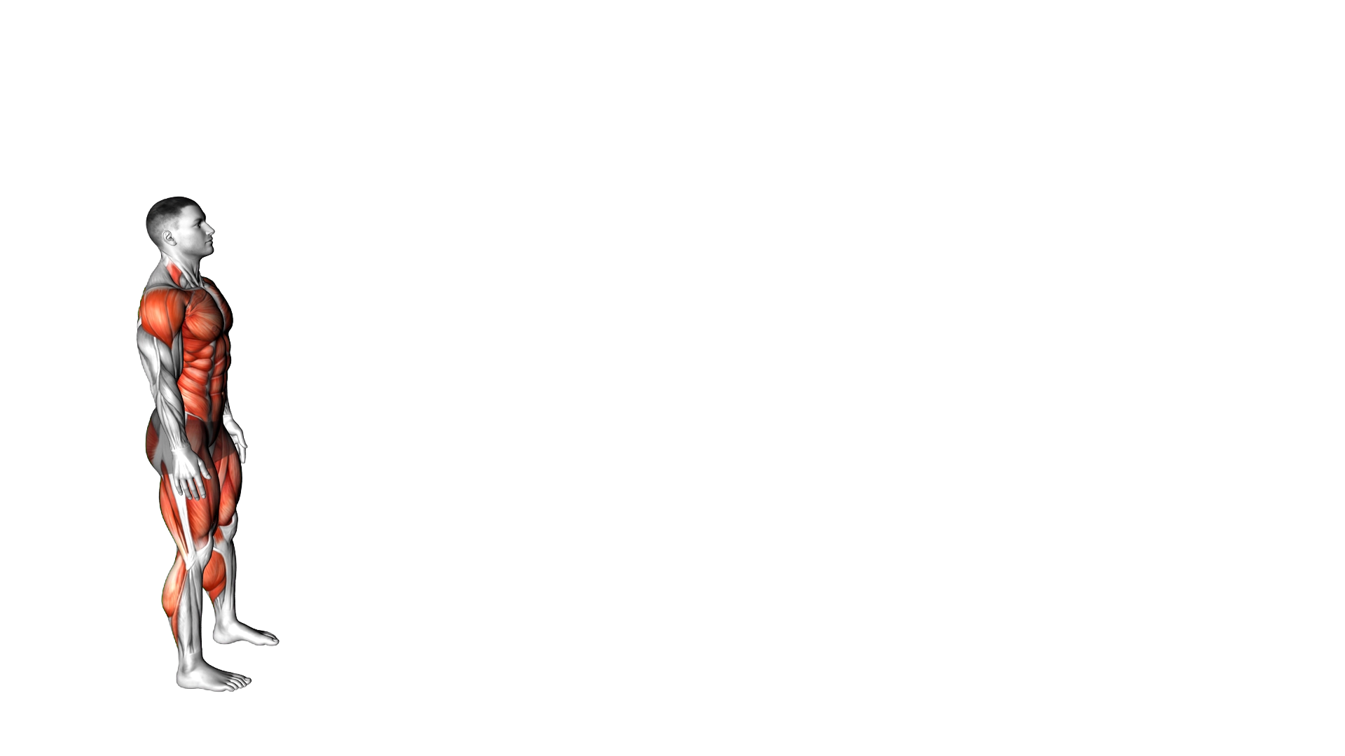 Broad Long Jump exercise demonstration