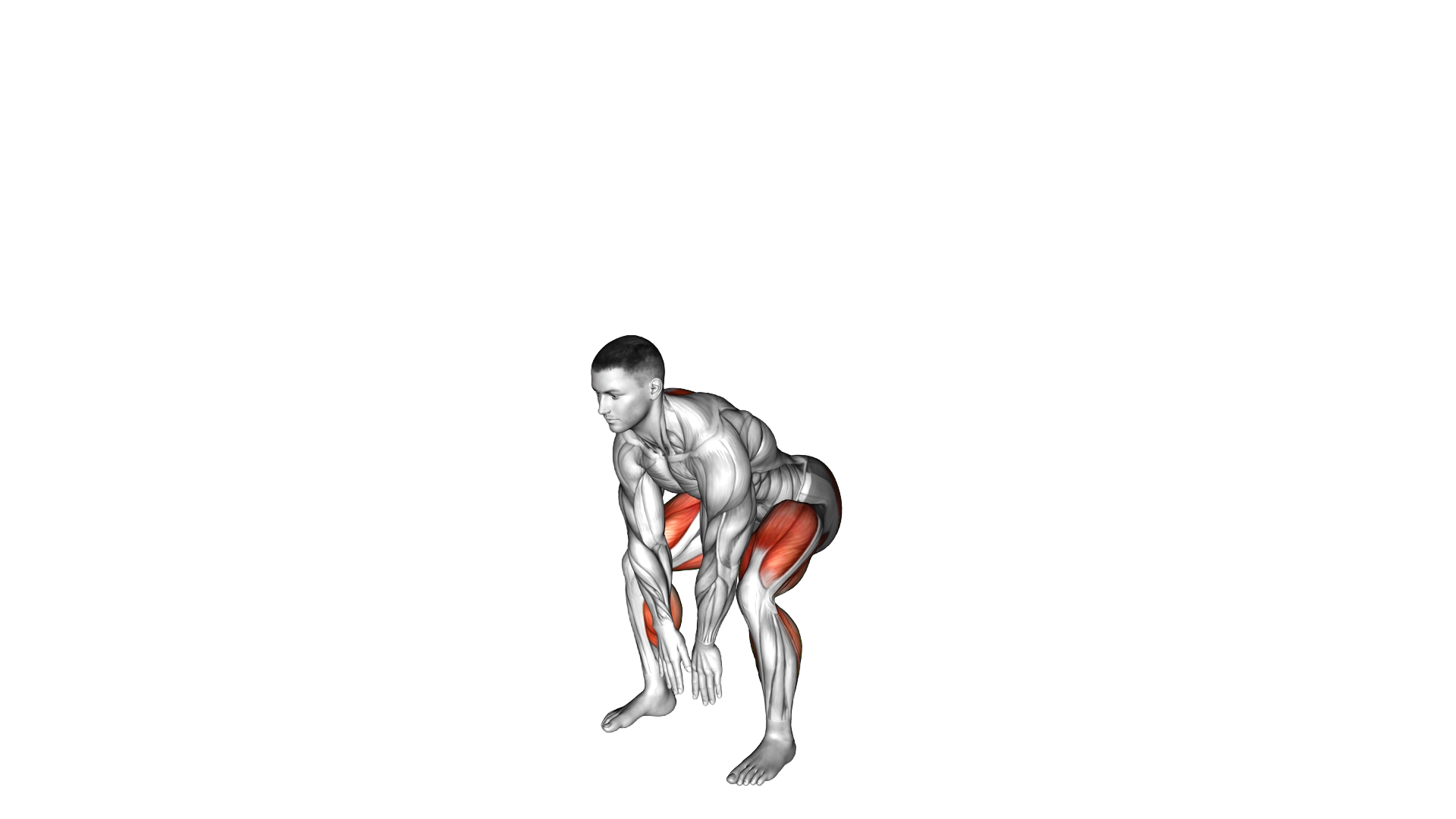 Deadlift Jump exercise demonstration