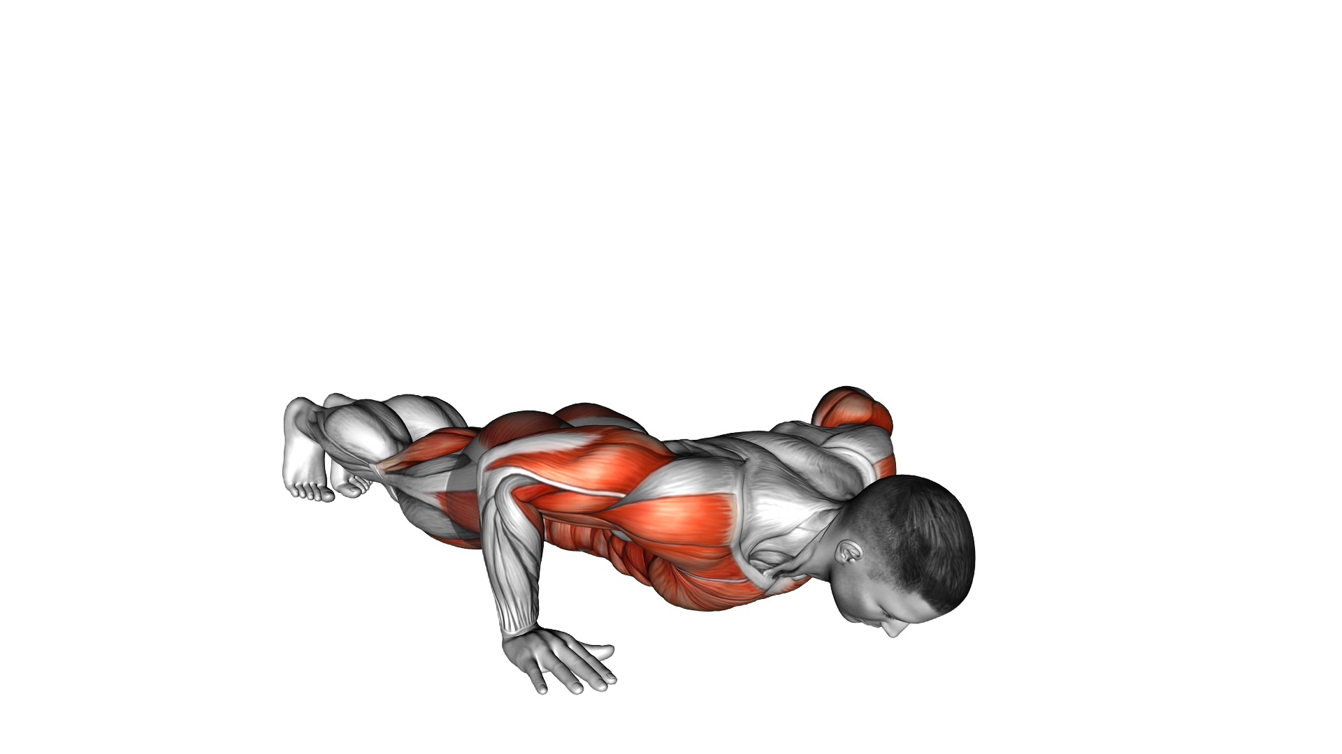 Rotational Push Up Knee Tap exercise demonstration