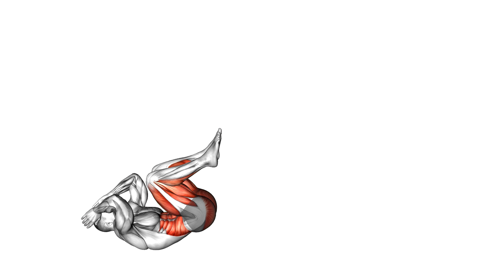 Somersault Stand up exercise demonstration