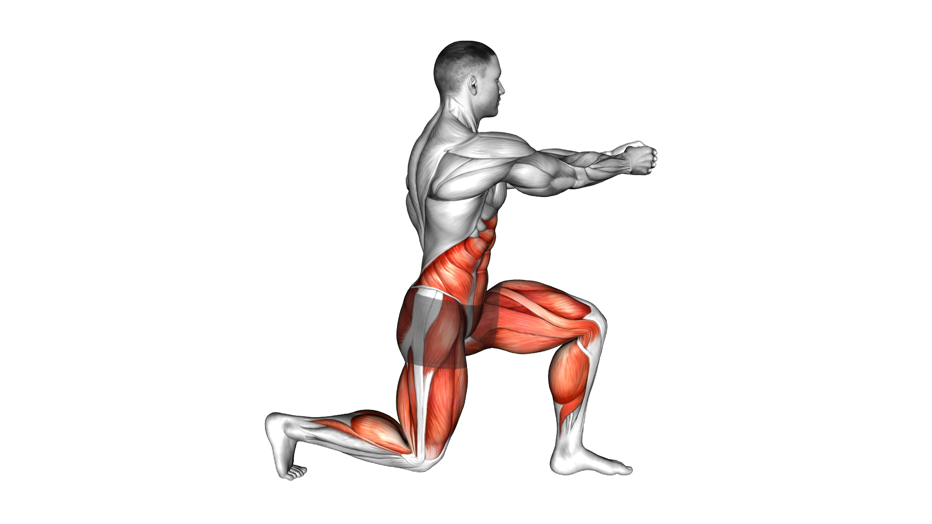 Static Lunge Rotational Chop exercise demonstration