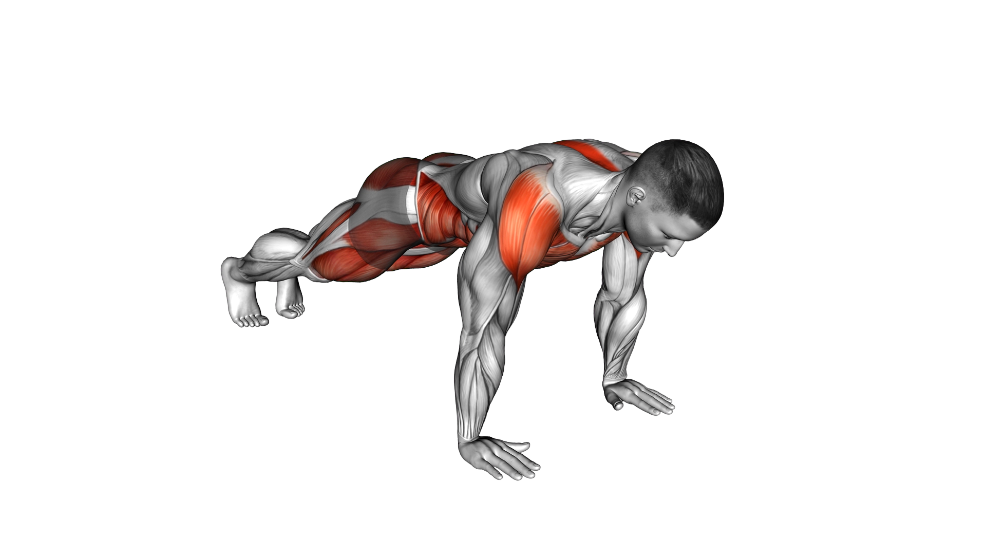 Spider Mountain Climber exercise demonstration