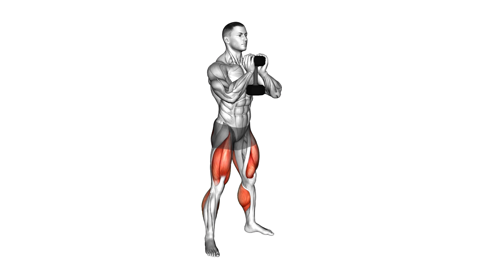 Dumbbell Goblet Squat with Calf Raise exercise demonstration