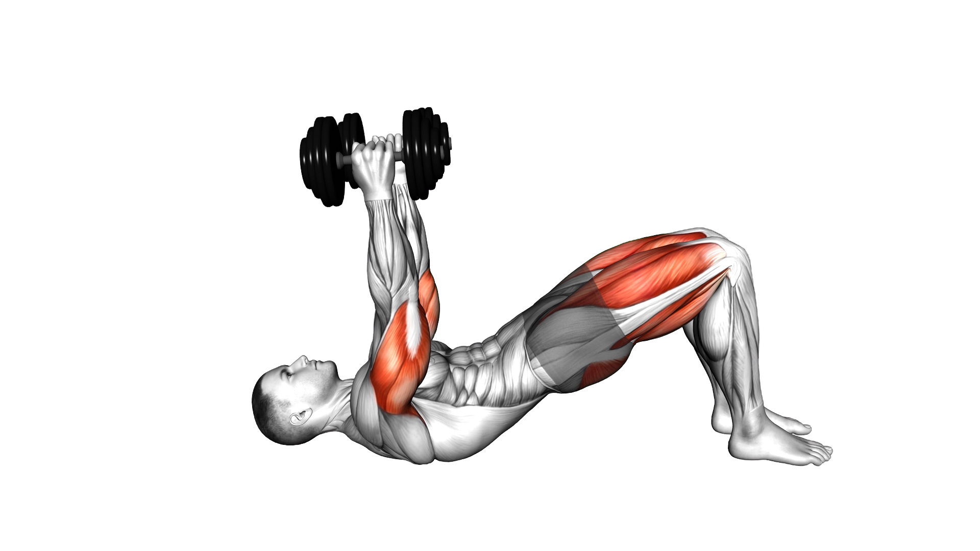 Dumbbell Glute Bridge Skull Crusher exercise demonstration