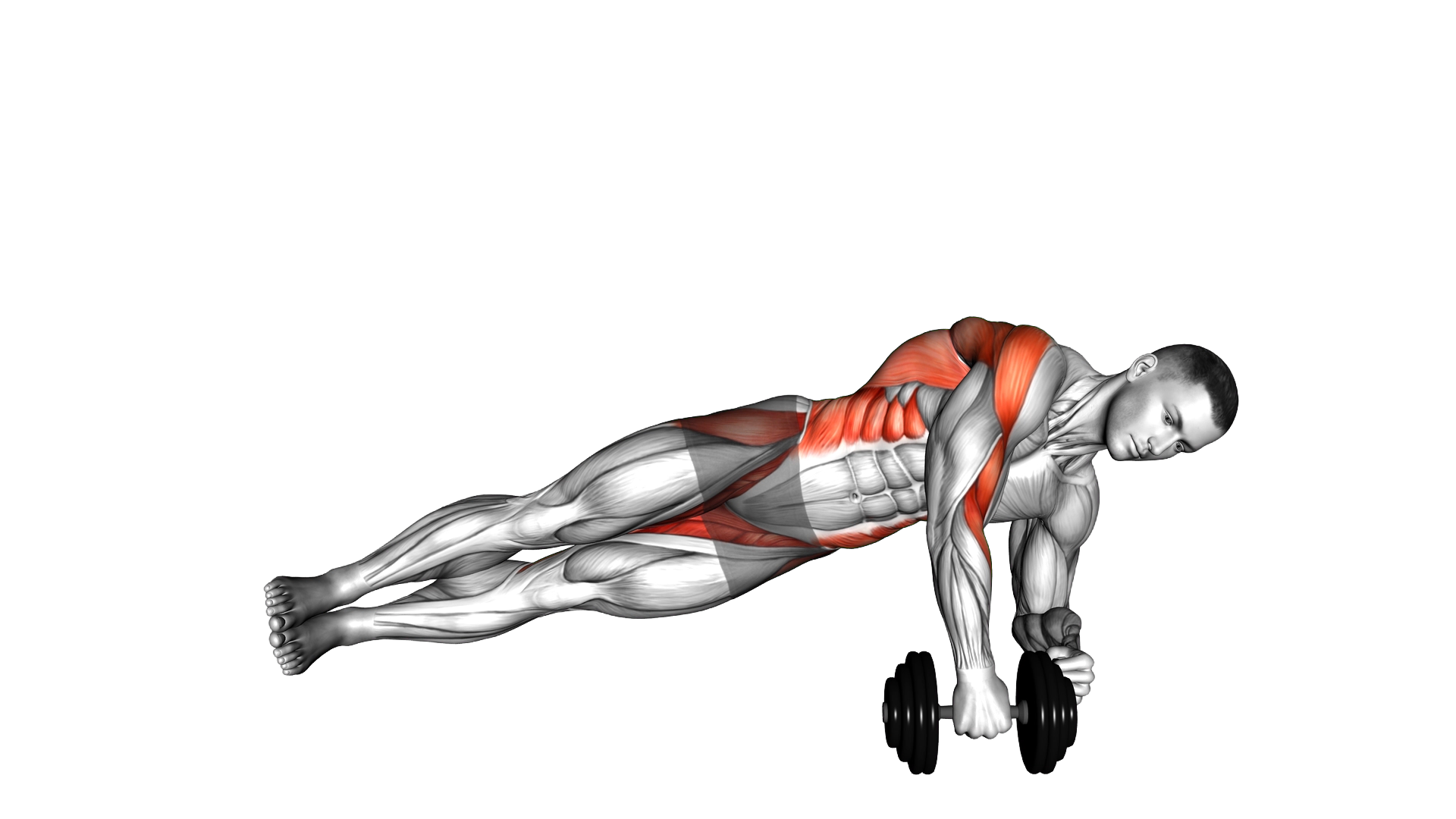 Dumbbell Side Plank Row exercise demonstration