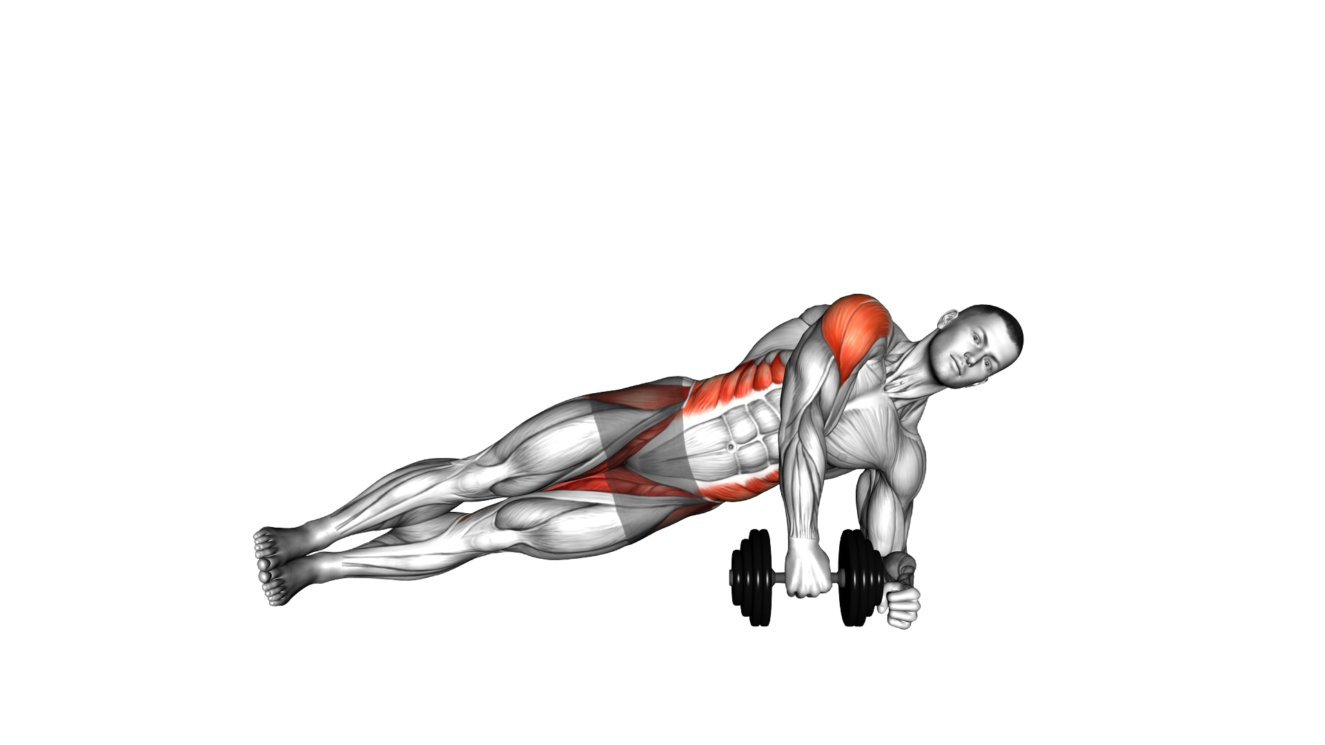 Dumbbell Side Plank Raise exercise demonstration