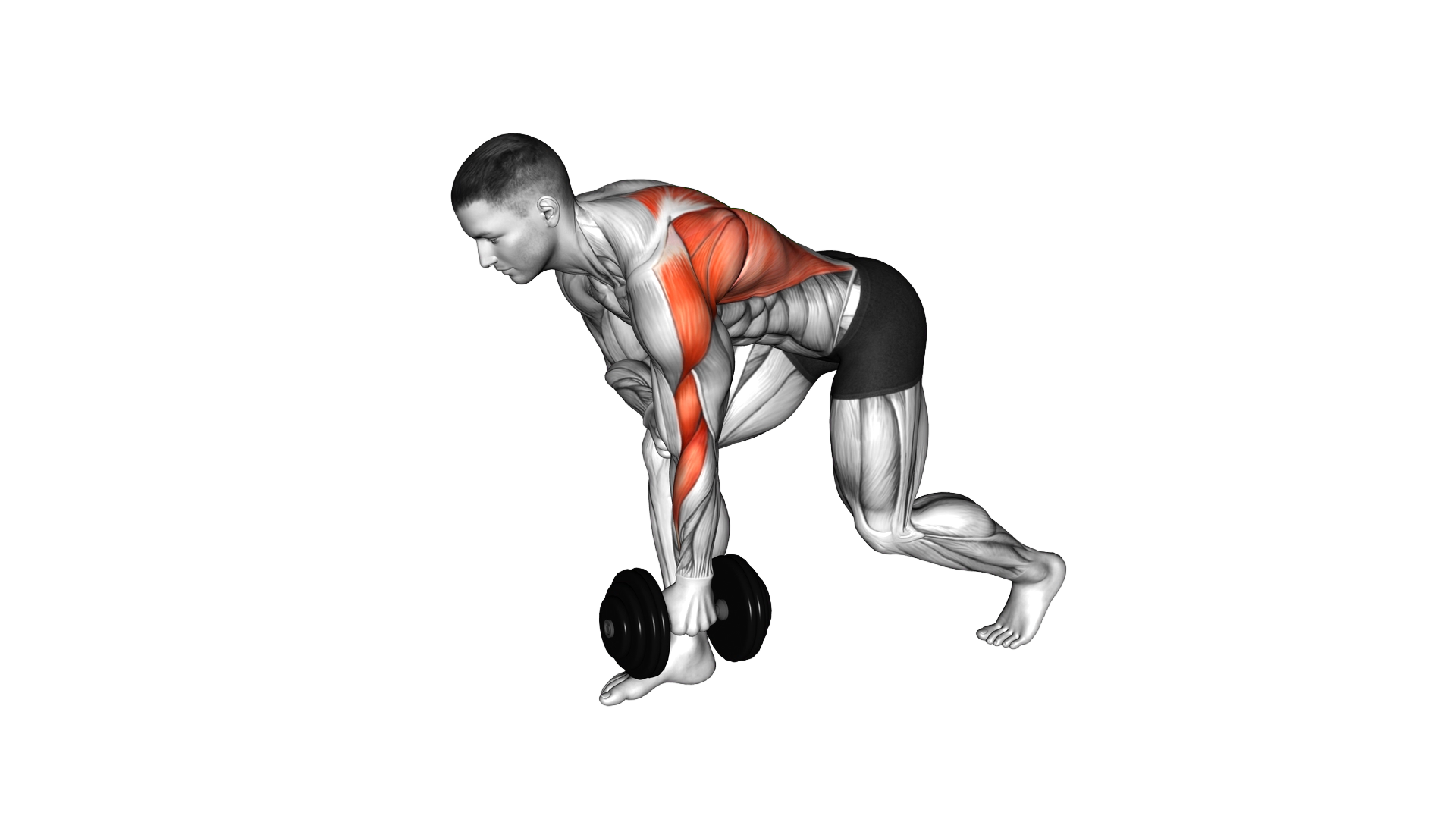 Dumbbell Split Stance Bent Over Row exercise demonstration