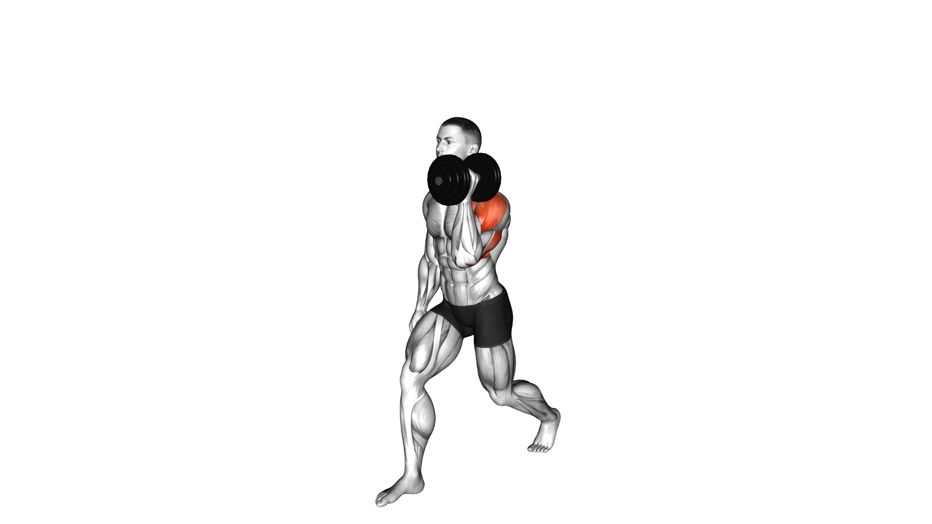 Dumbbell Split Stance Sigle Arm Overhead Press (ma exercise demonstration