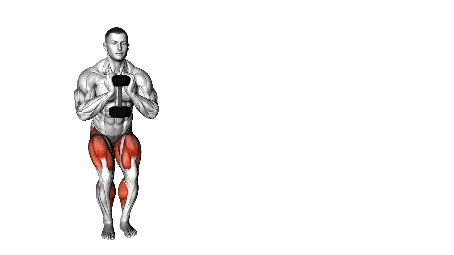 Dumbbell Lateral Walk exercise demonstration