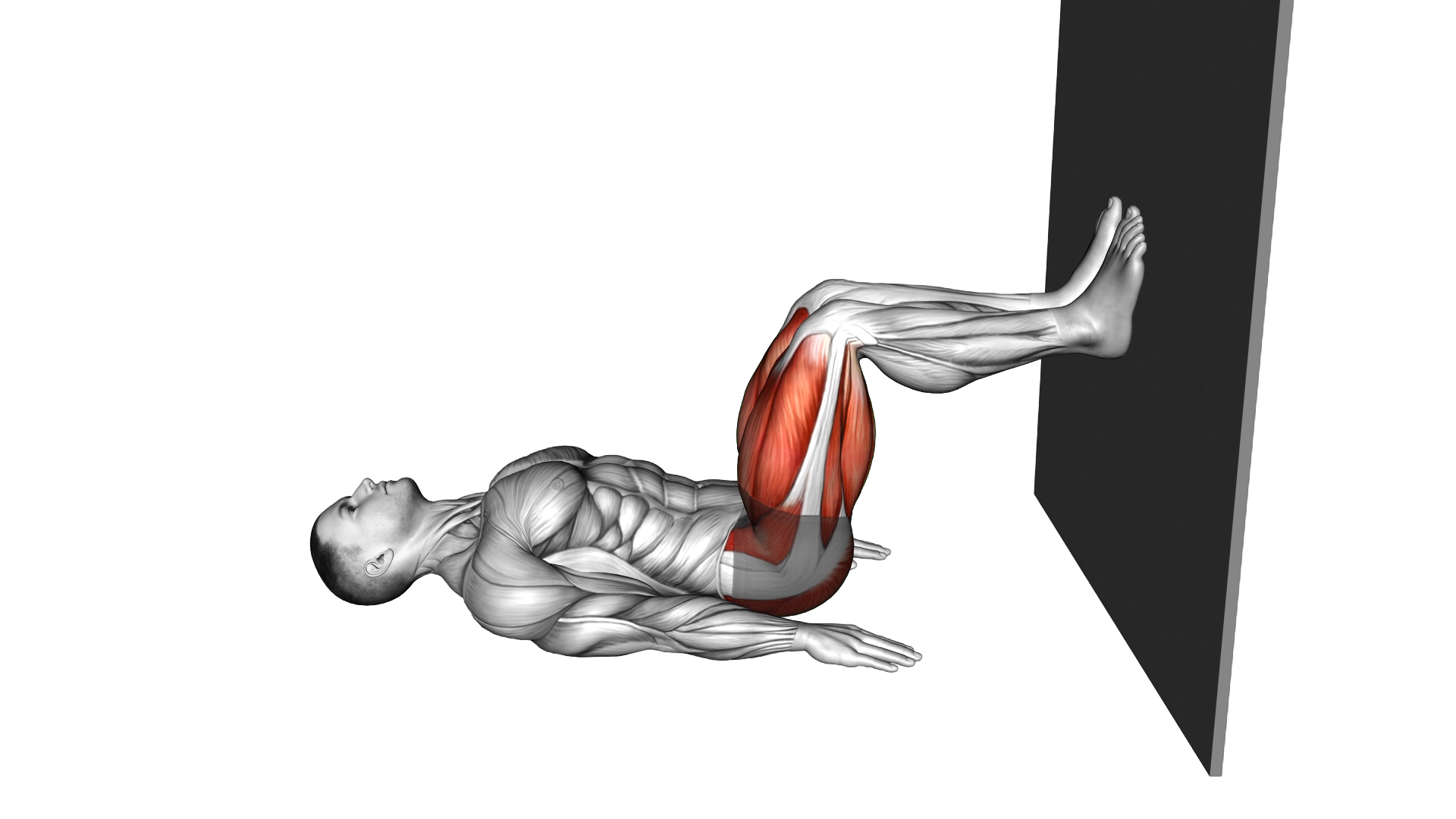 Glute Bridge Abduction against Wall exercise demonstration