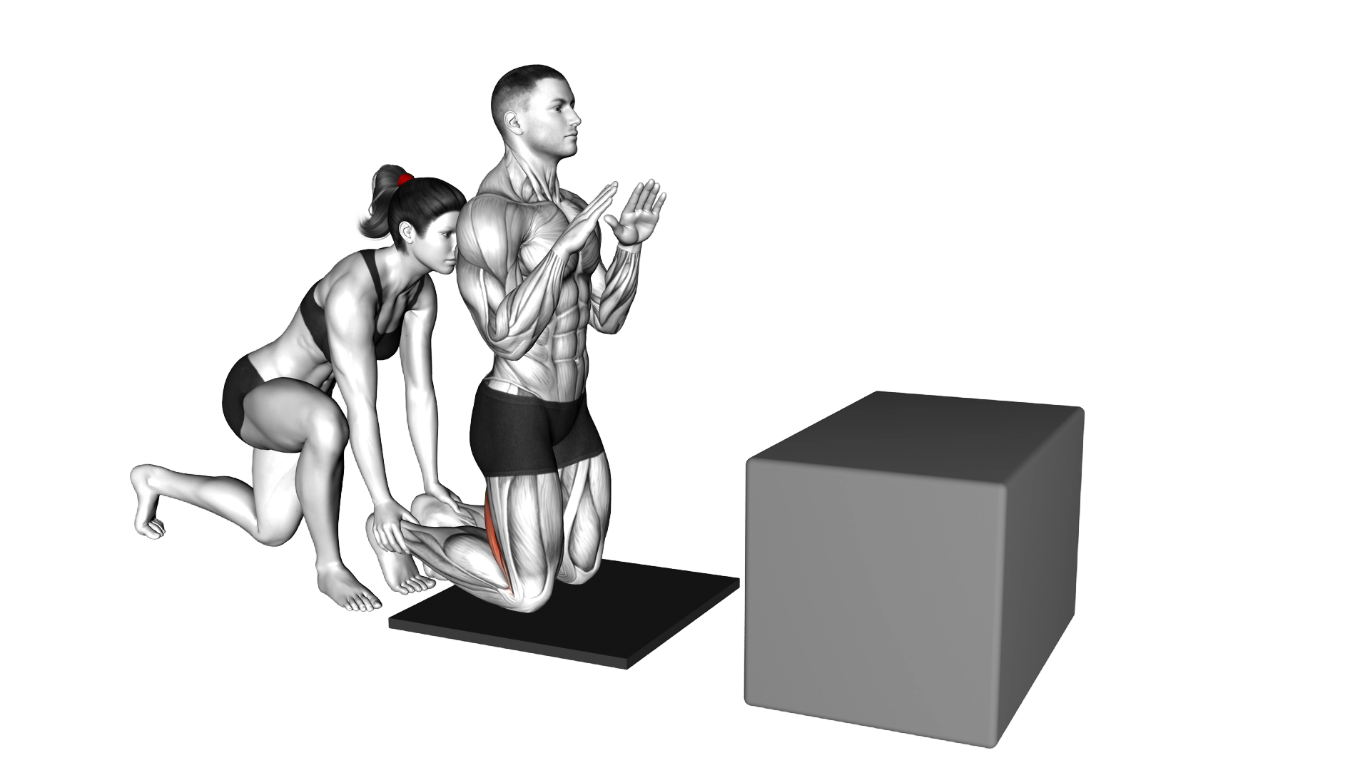 Assisted Partial Range Inverse Leg Curl exercise demonstration