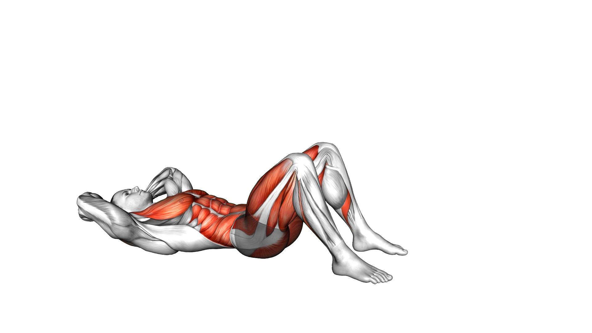 Sit up to Mountain Hop exercise demonstration