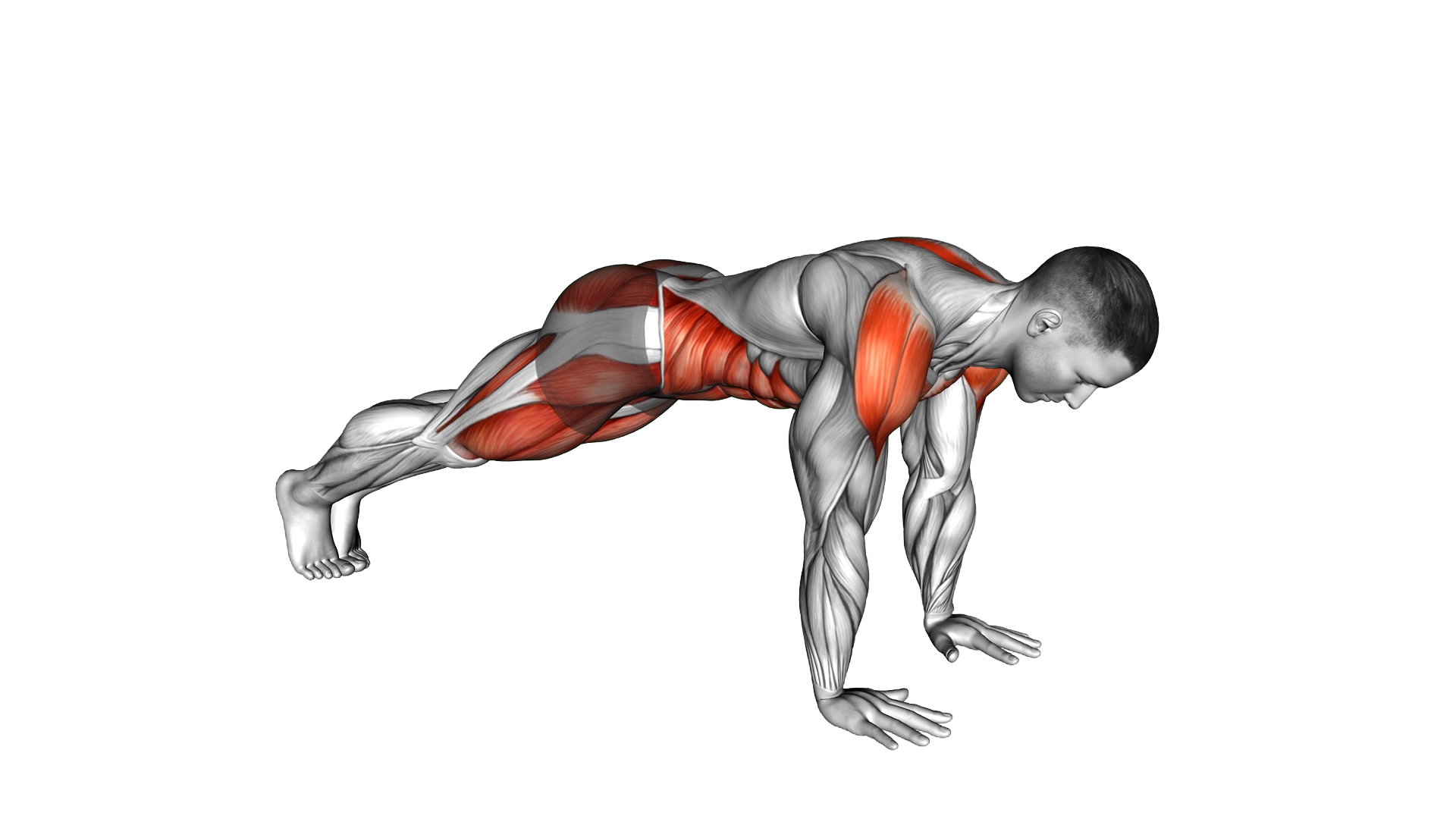 Double Plank Jack to 4 Mountain Climber exercise demonstration