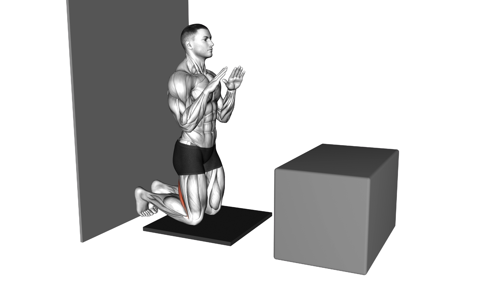 Assisted Partial Range Inverse Leg Curl against Wa exercise demonstration