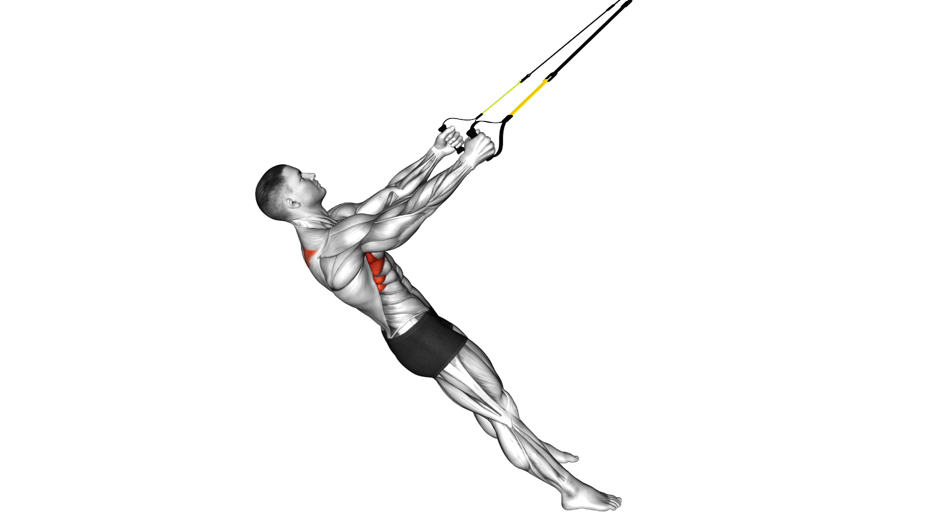 Suspender Scapular Retraction exercise demonstration