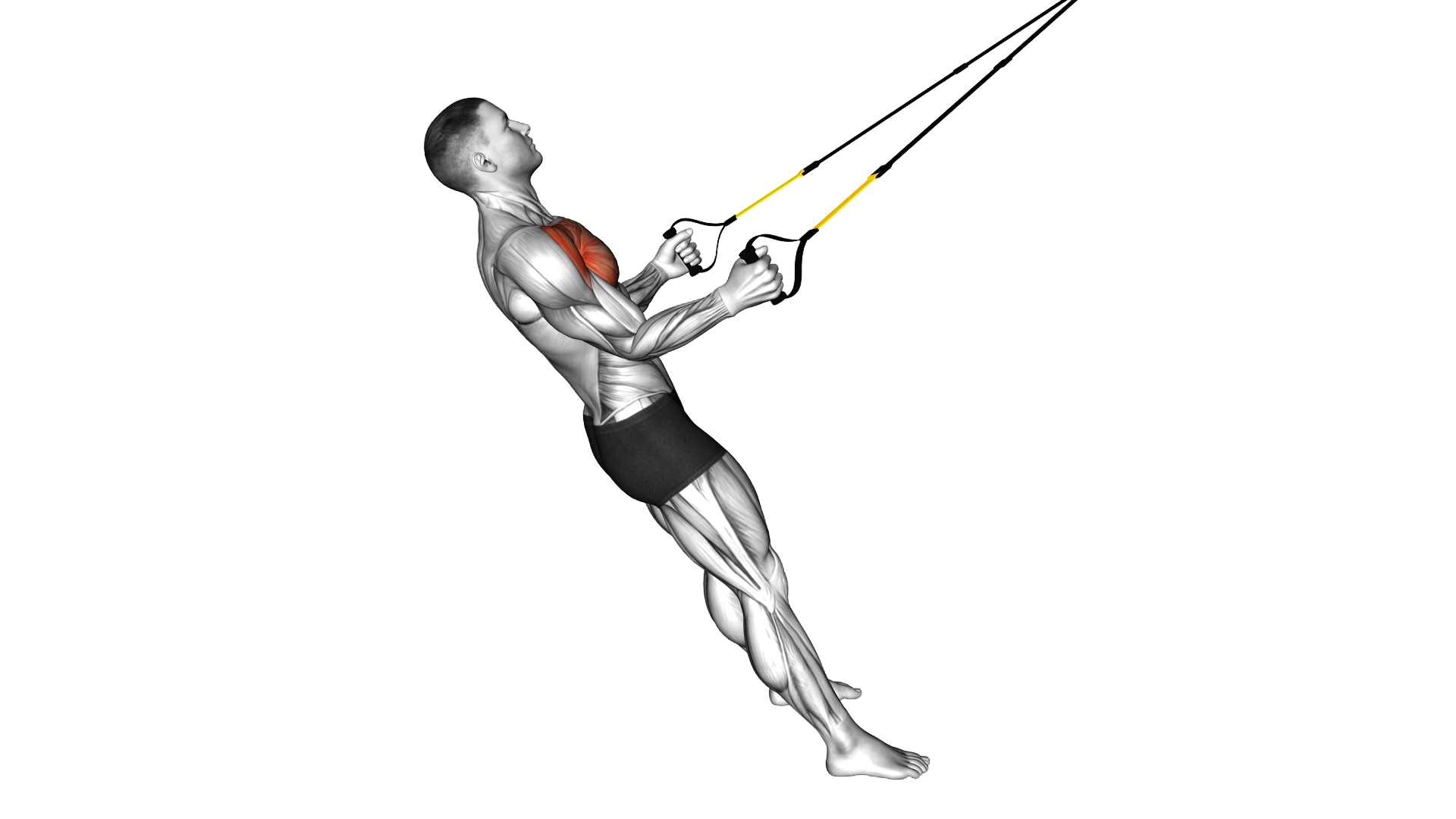 Suspender Internal Rotation exercise demonstration