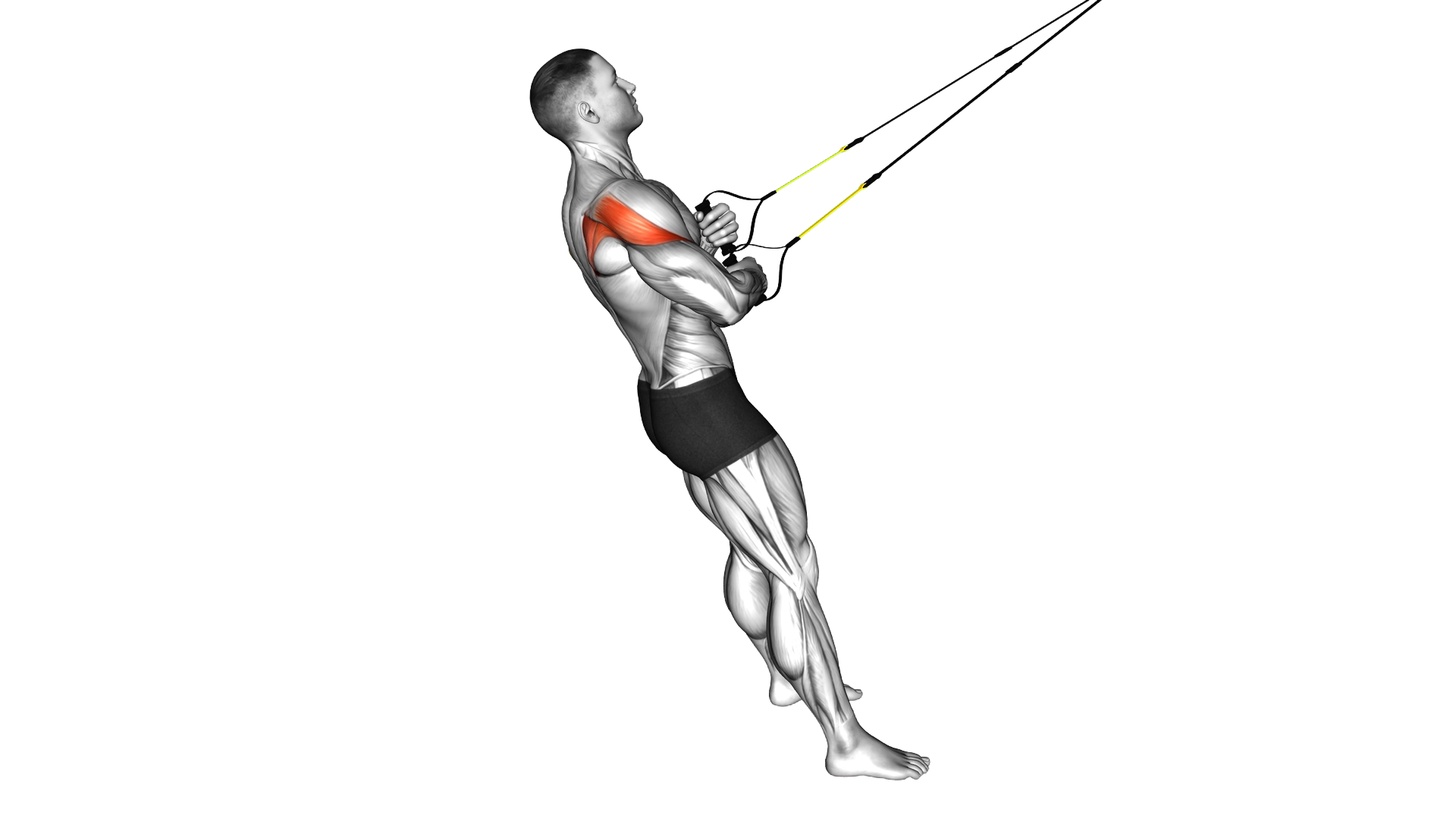 Suspender External Rotation exercise demonstration