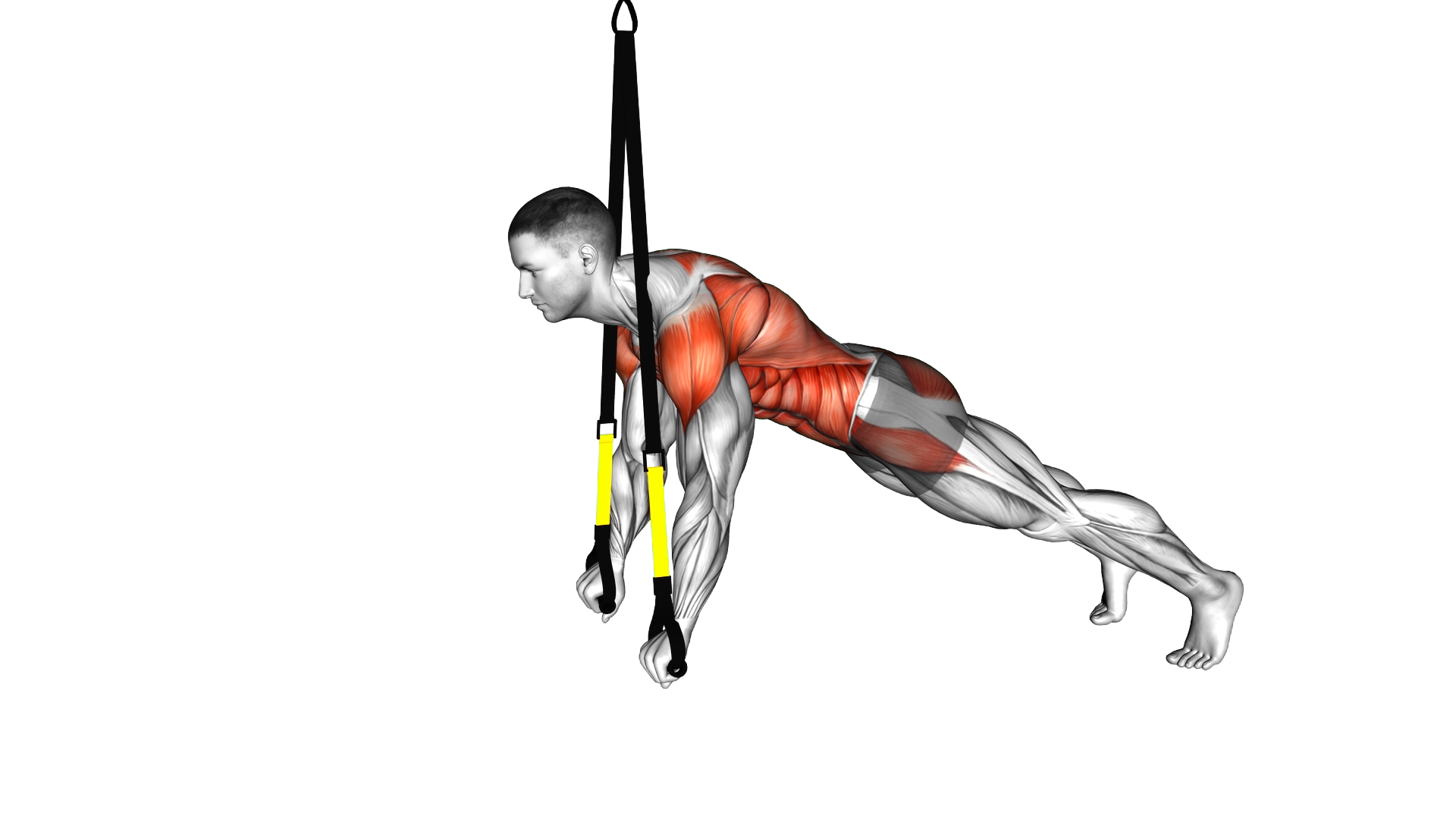 Suspender Prone Ys exercise demonstration