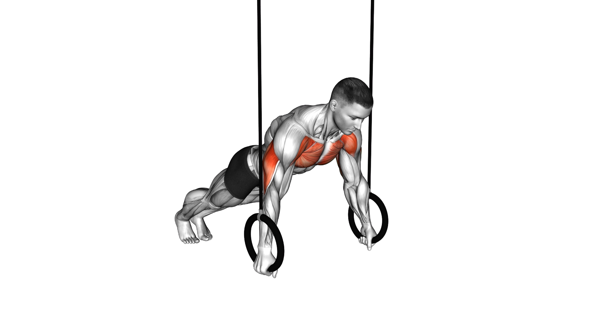Ring Archer Push up exercise demonstration