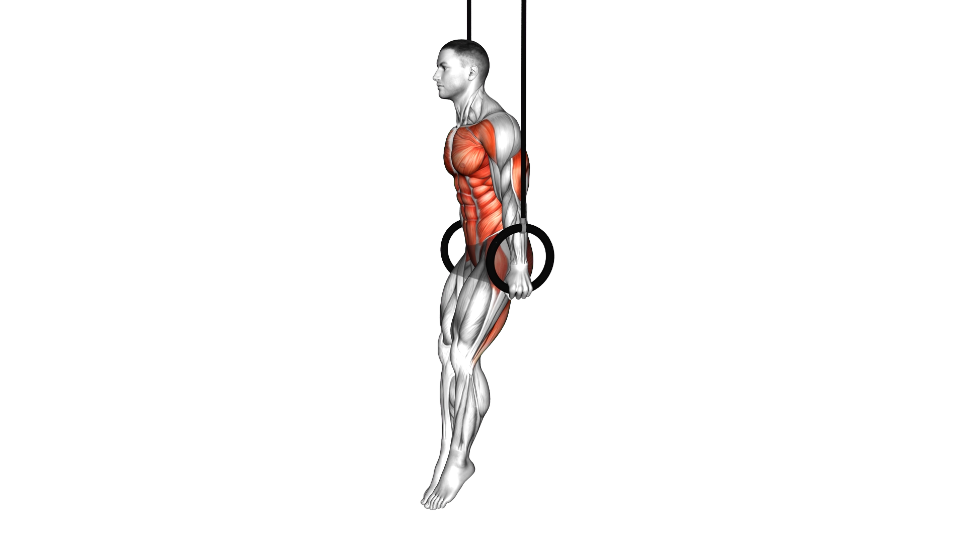 Ring Tuck Planche exercise demonstration
