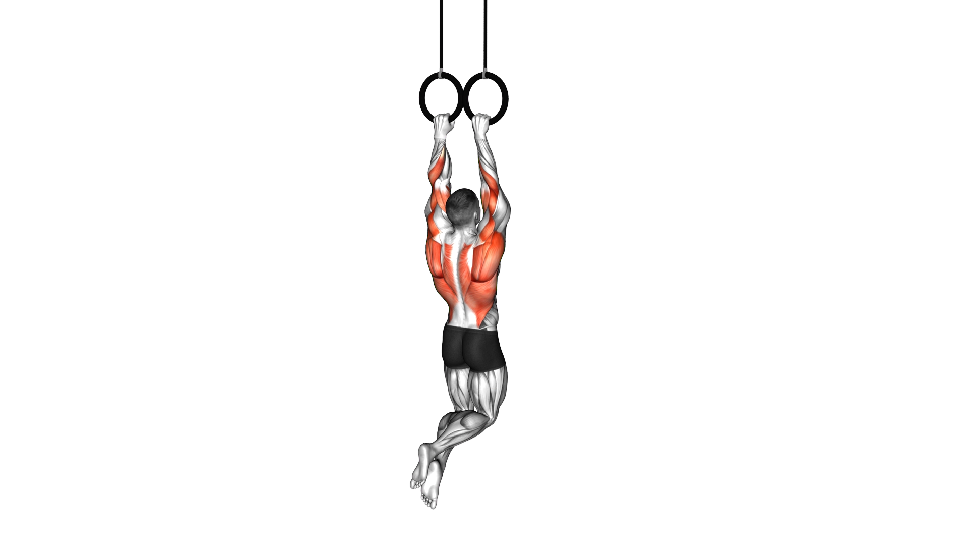 Ring Archer Pull up exercise demonstration