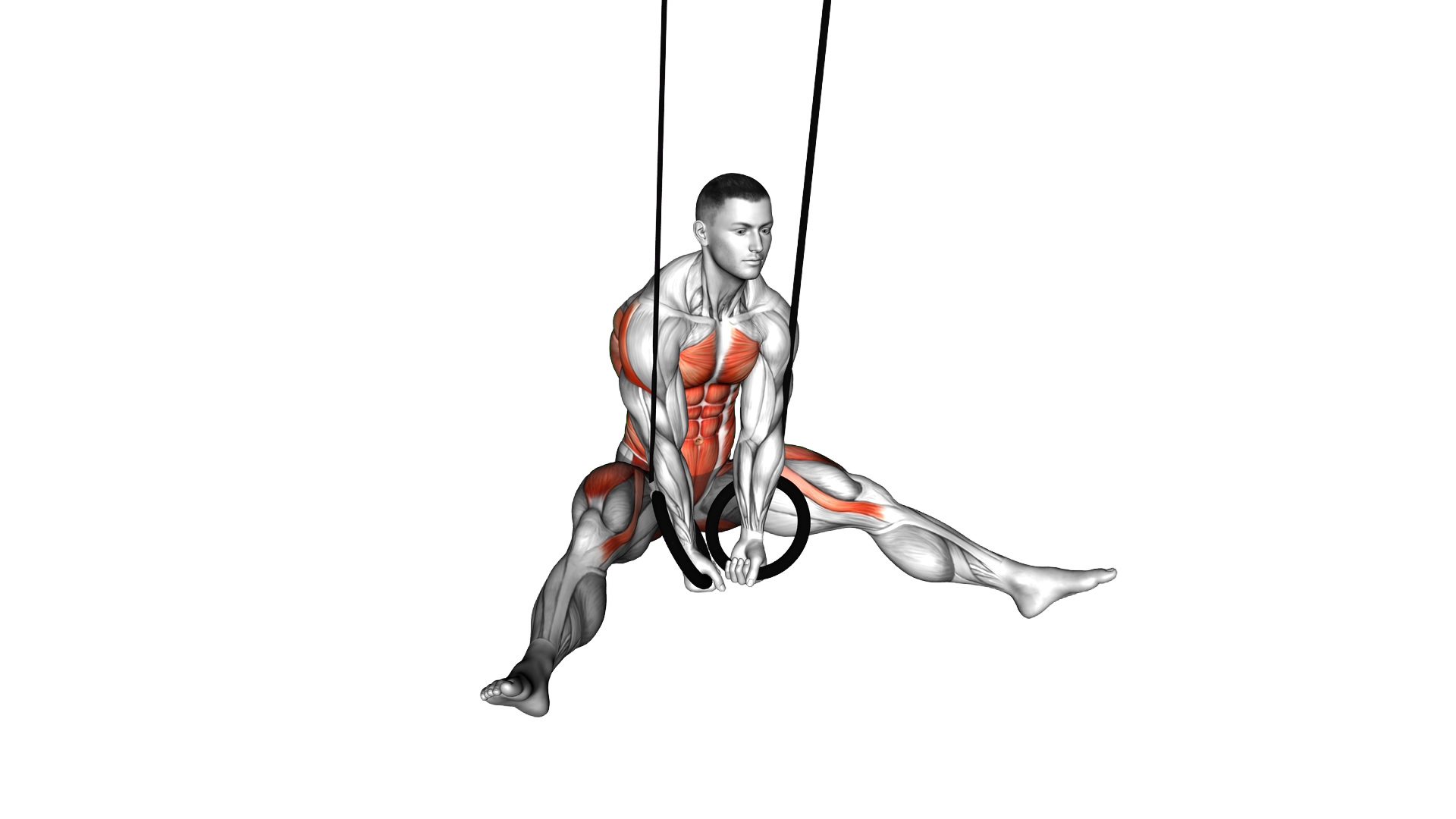 Ring Straddle L Sit exercise demonstration
