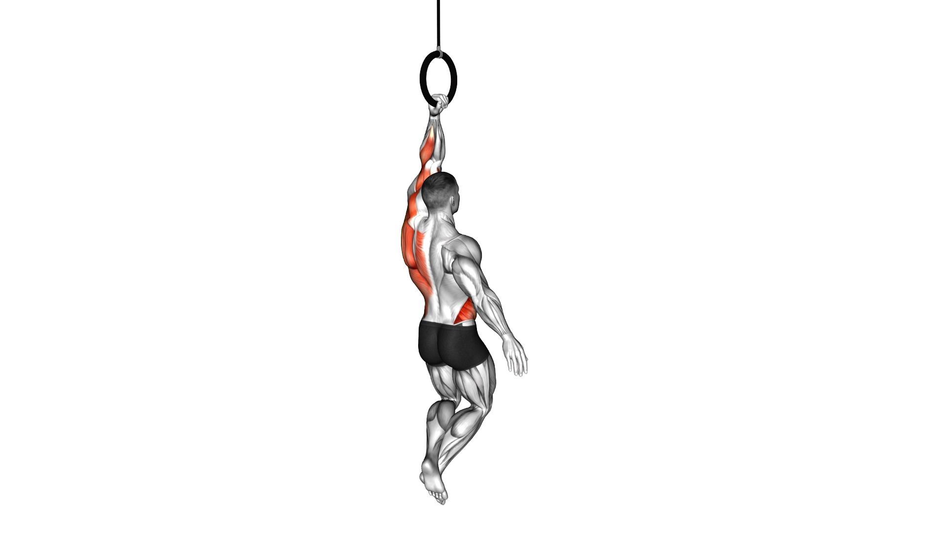 Ring One Arm Pull Up exercise demonstration