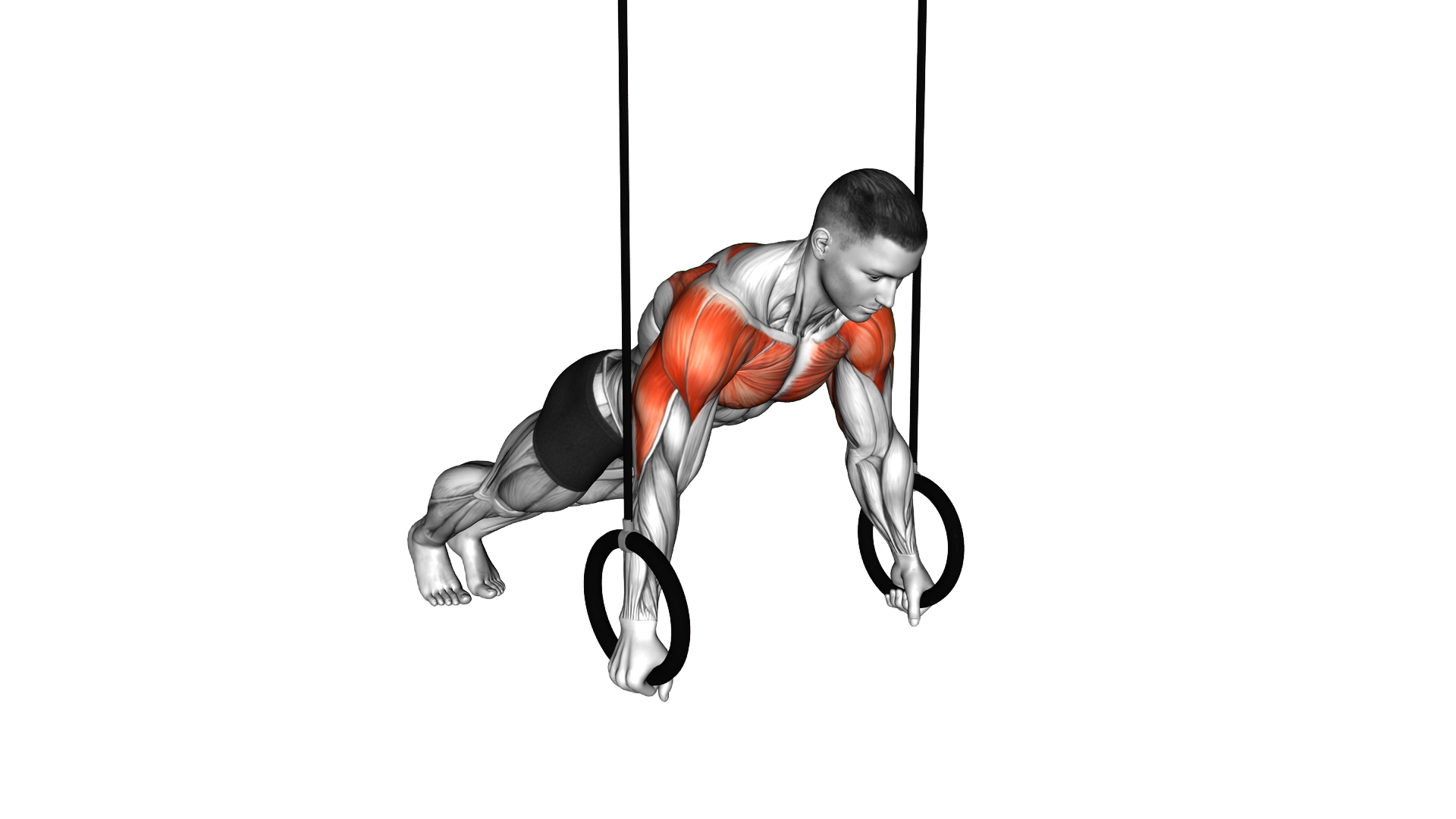 Ring Russian Push Up exercise demonstration