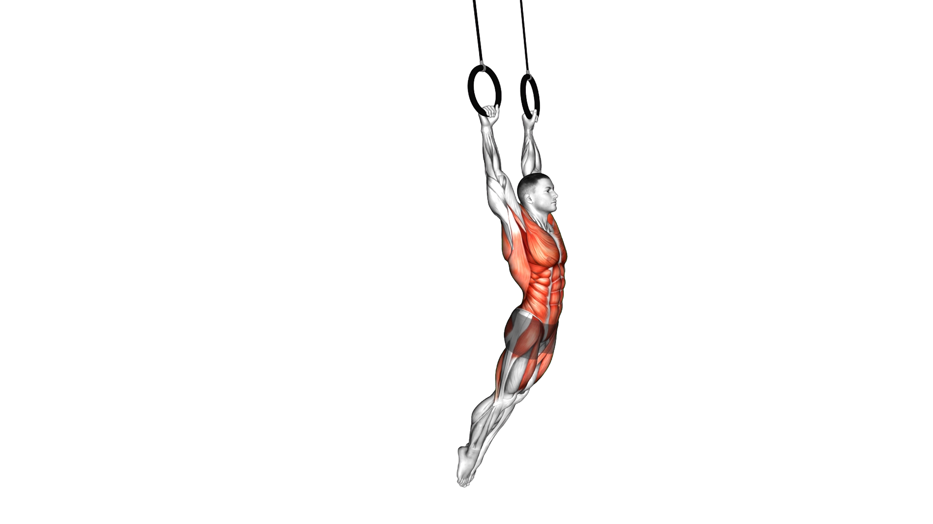 Ring Swing exercise demonstration