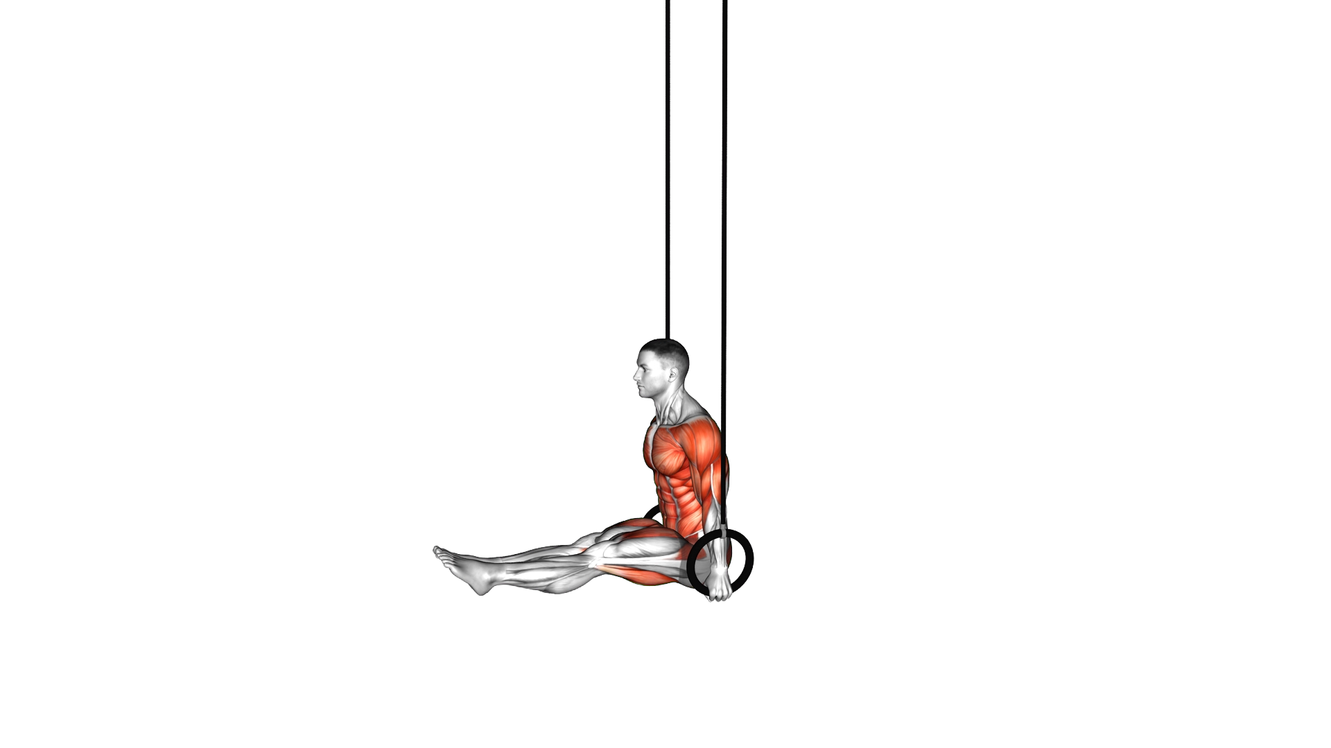 Ring Handstand to L Sit exercise demonstration