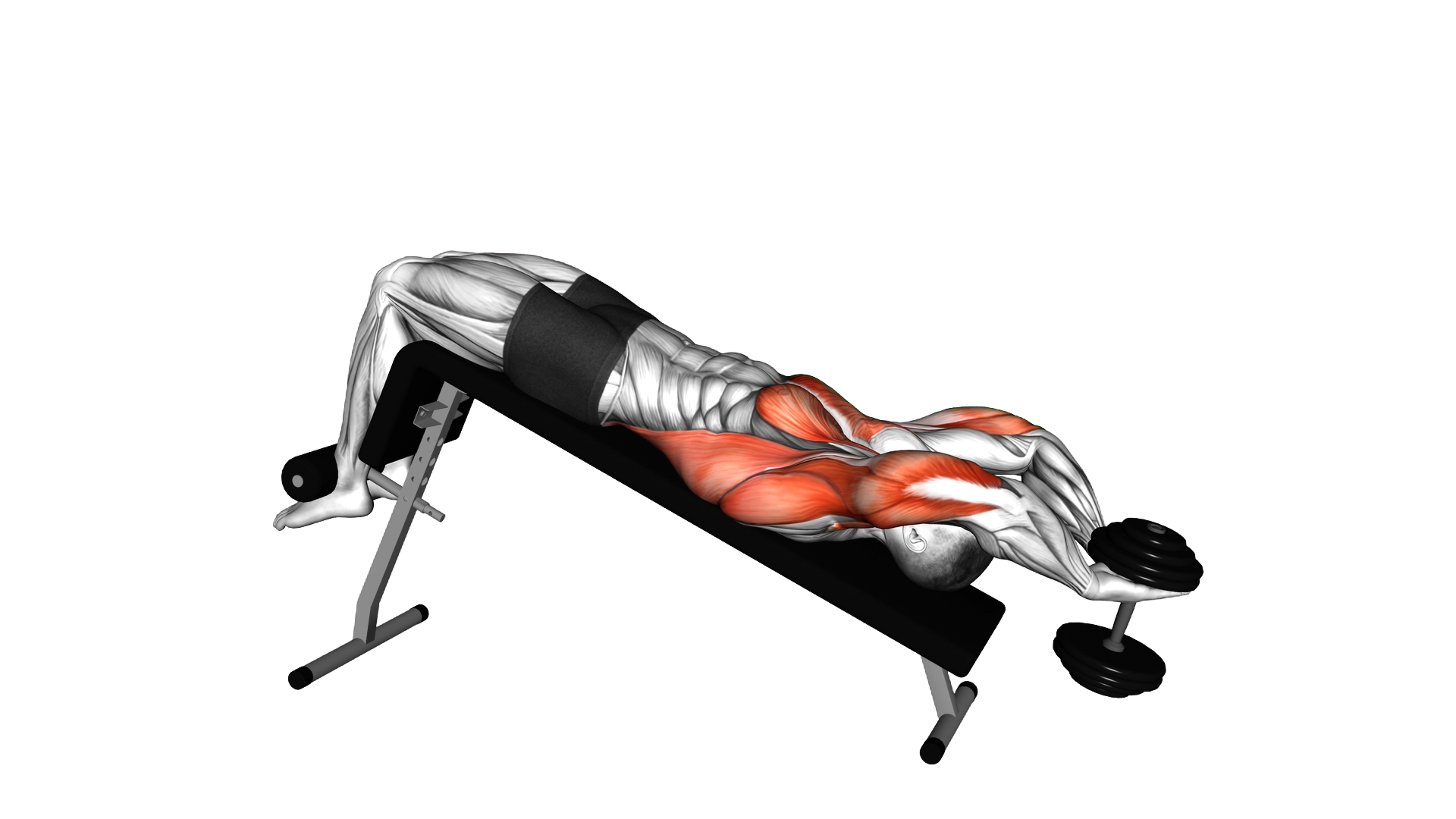Dumbbell Decline Pullover exercise demonstration