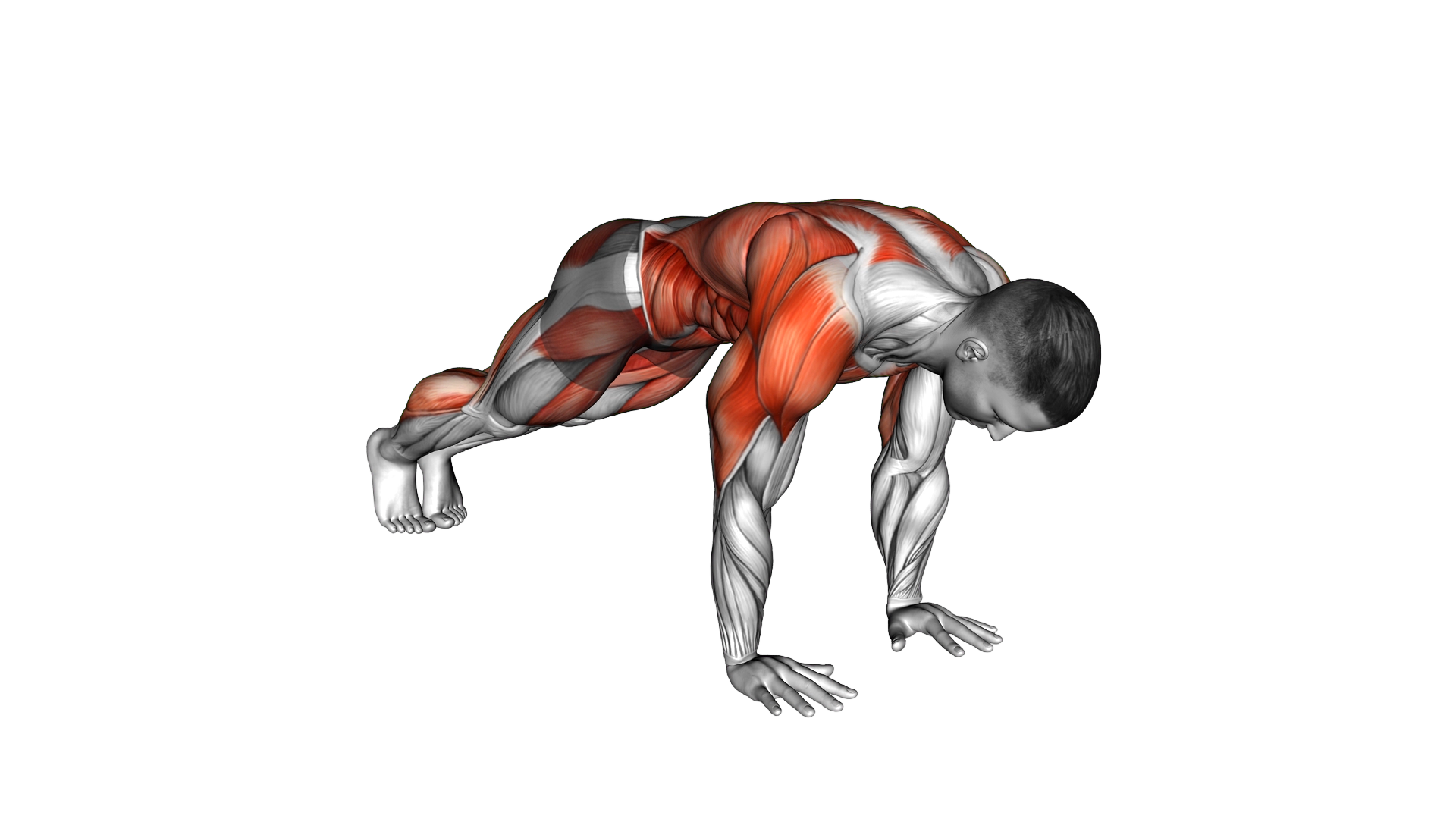 Push up 3 Points Hops exercise demonstration