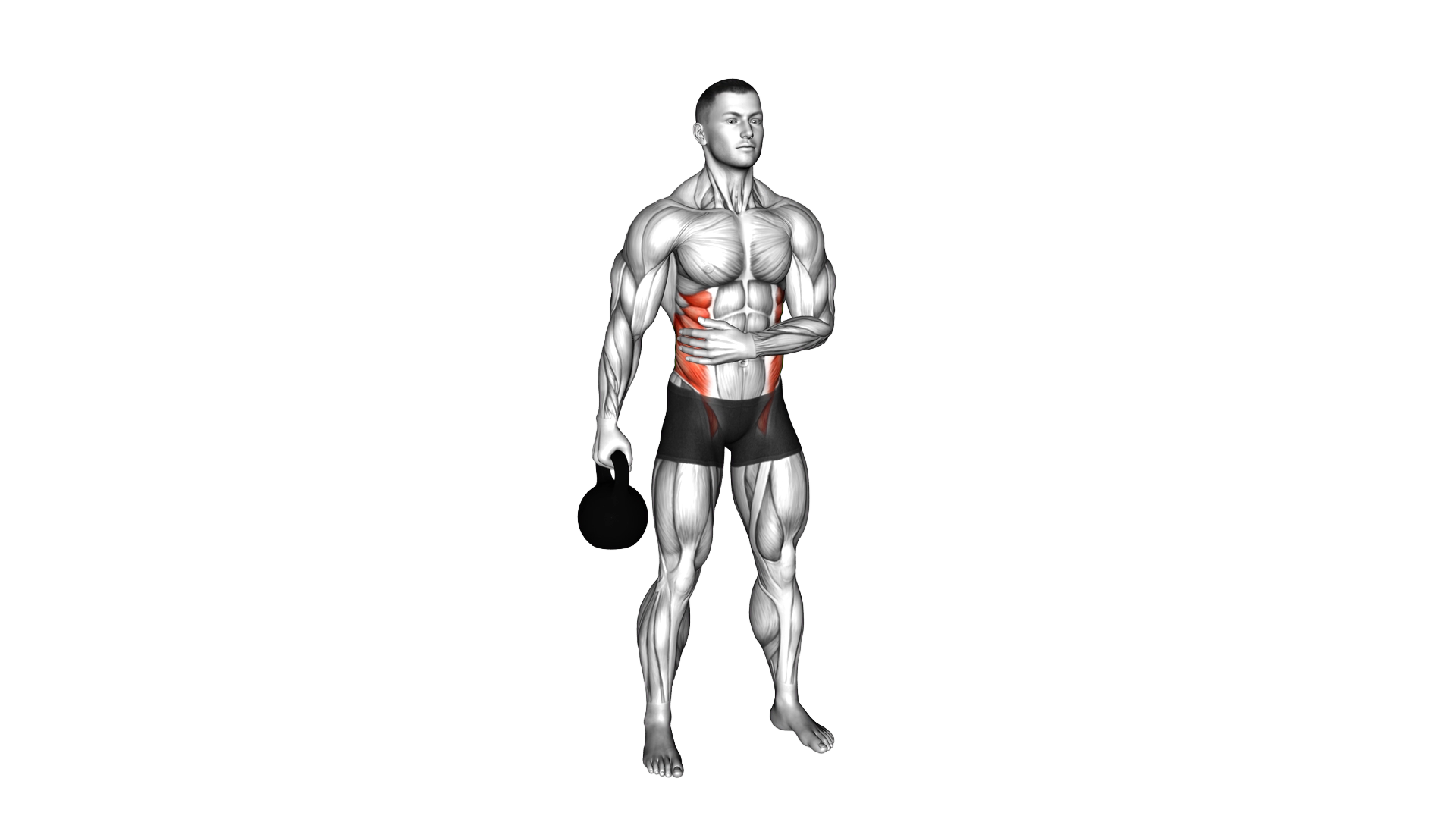 Kettlebell Suitcase Hold exercise demonstration