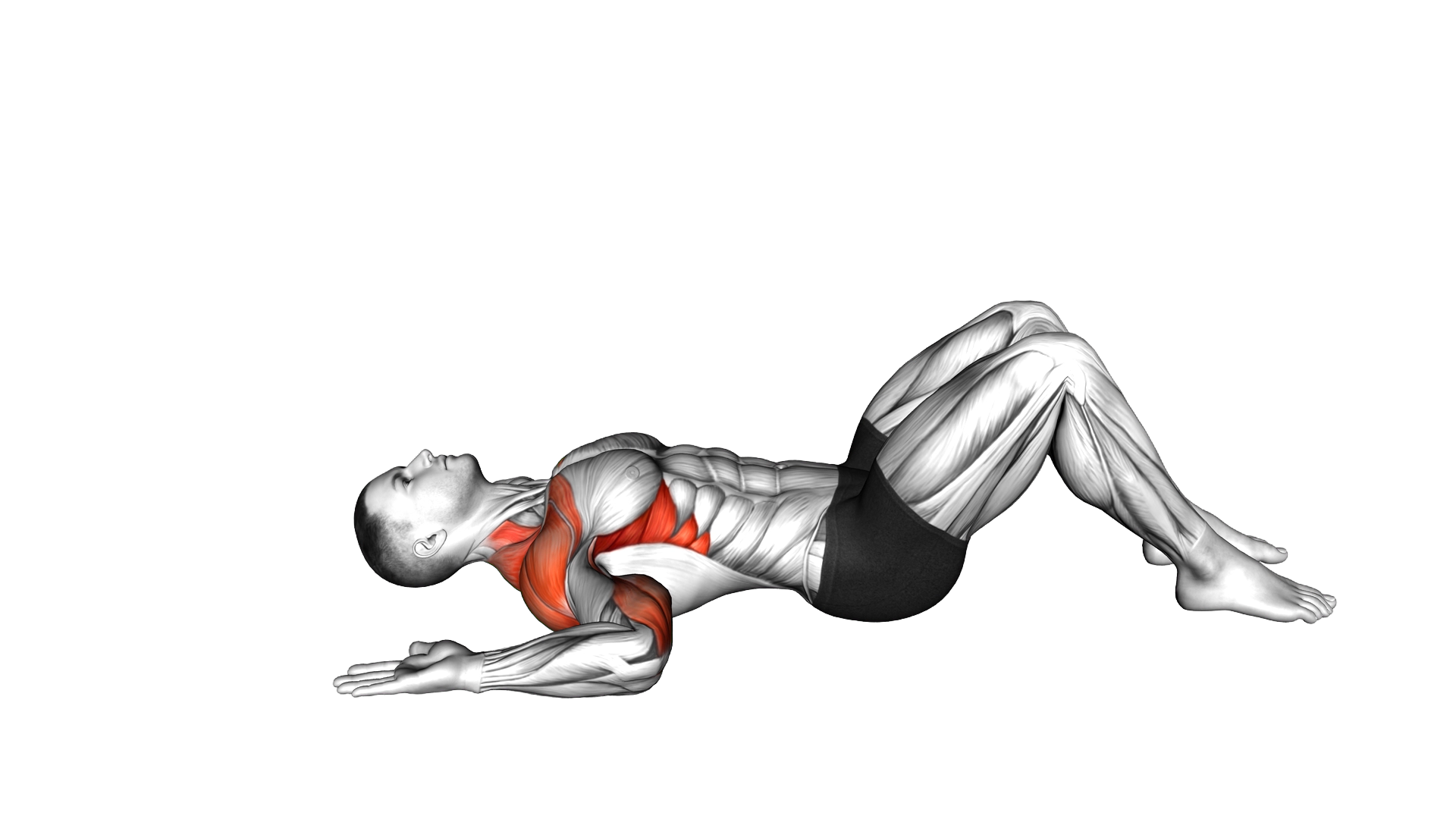 Lying Floor Slide exercise demonstration