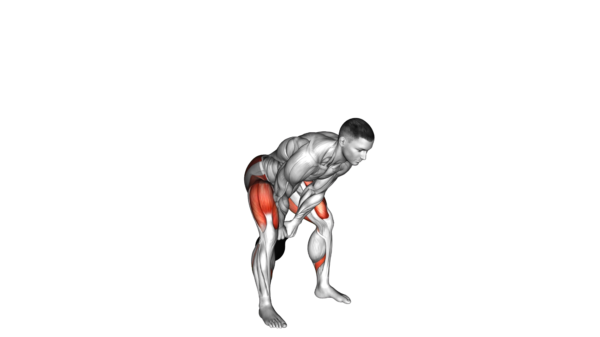 Kettlebell Swing to Goblet Squat exercise demonstration