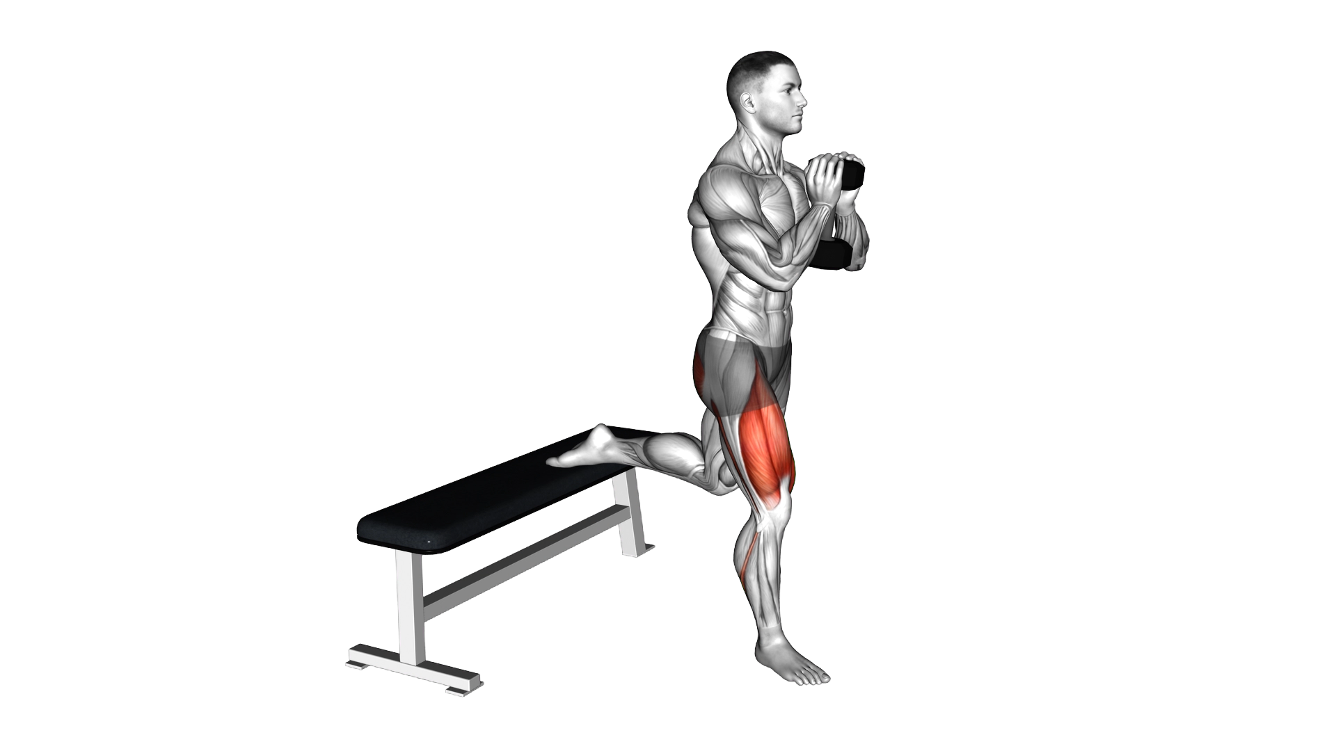 Dumbbell Goblet Bulgarian Split Squat exercise demonstration